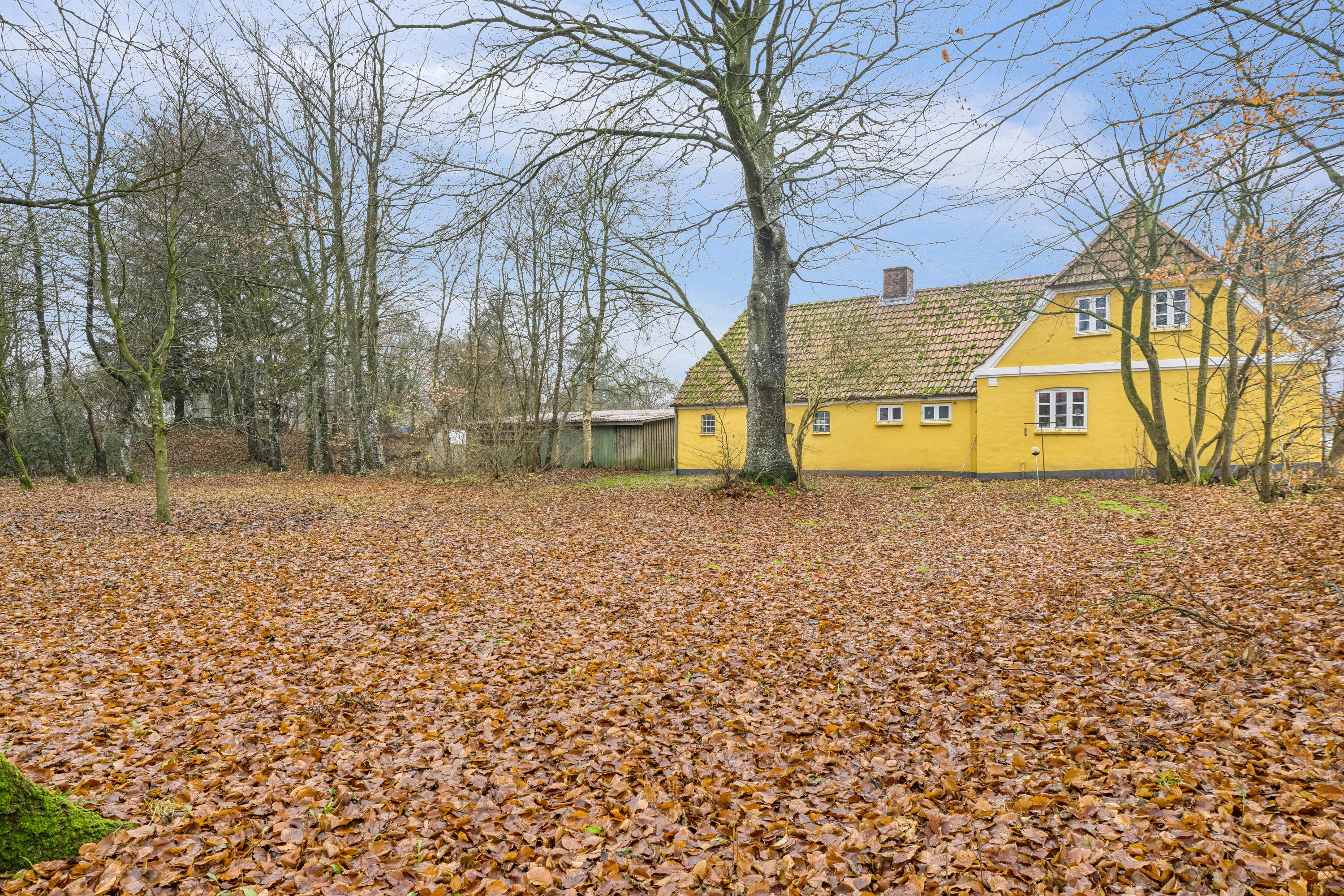 Fremhævet ejendommen billede i fuldskærmstilstand. Billede af Haderslevvej 140, Skallebæk, 6760 Ribe