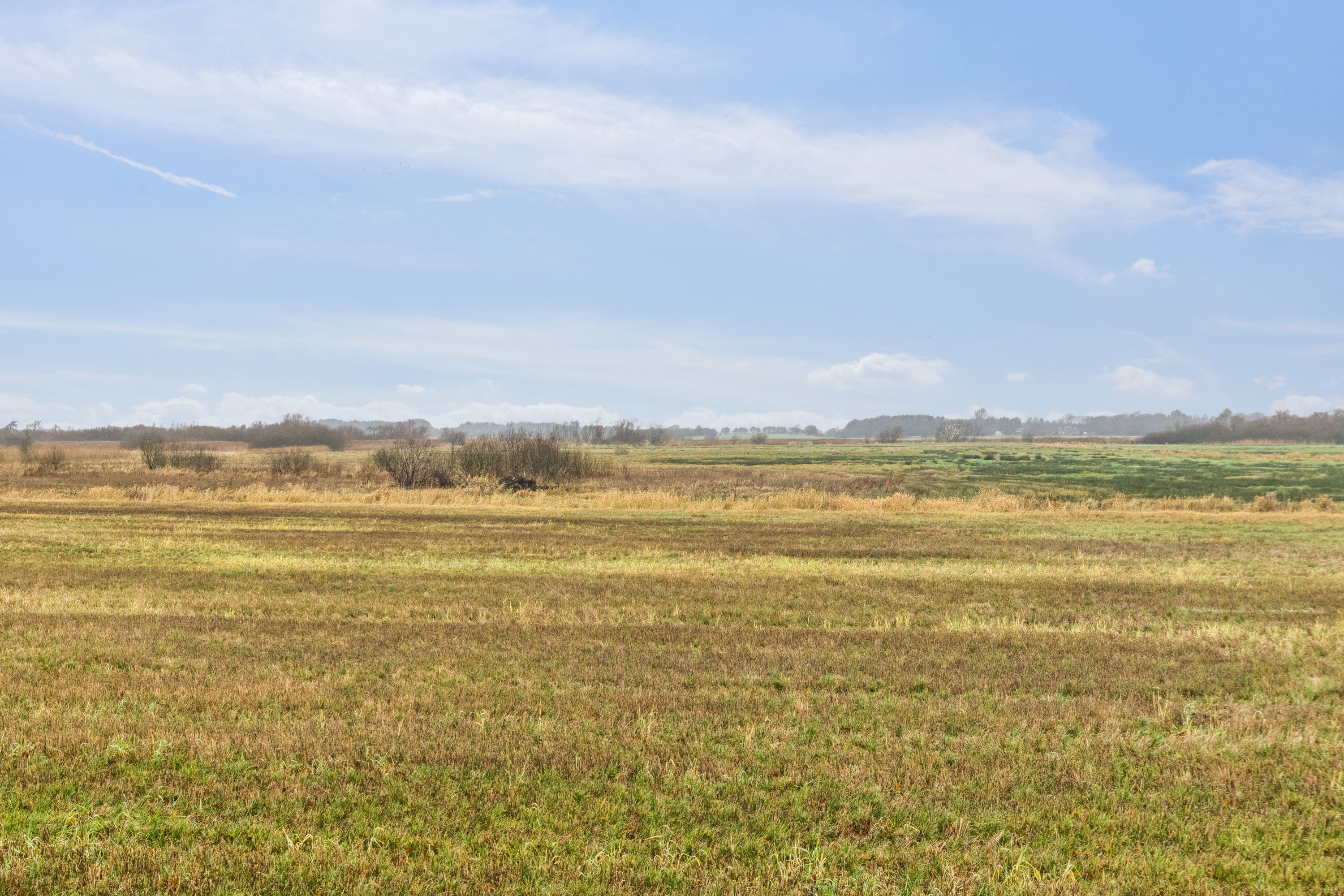 Fremhævet omgivelser billede i fuldskærmstilstand. Billede af Haderslevvej 140, Skallebæk, 6760 Ribe