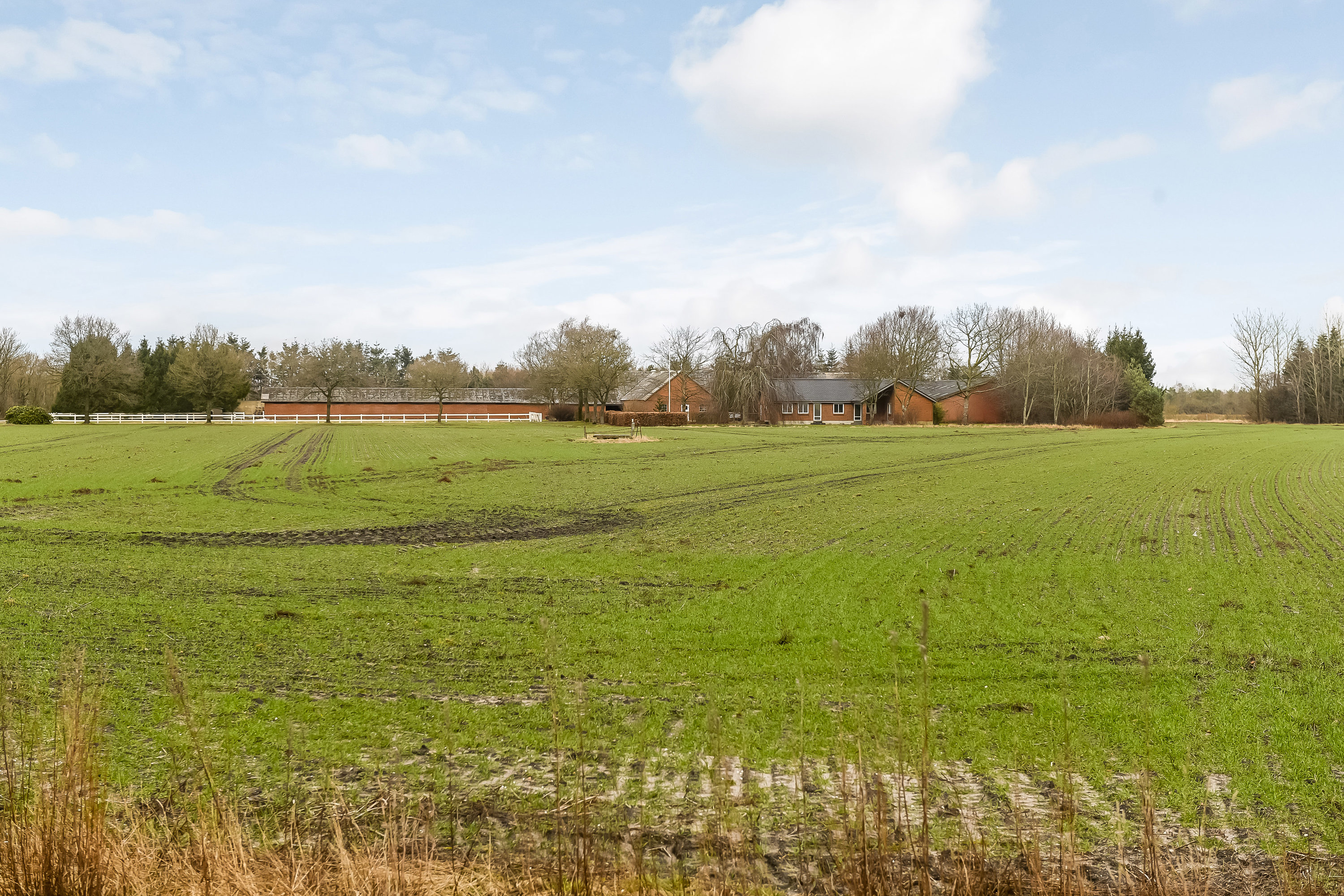 Fremhævet have billede i fuldskærmstilstand. Billede af Dalsvej 4, Dal, 7200 Grindsted