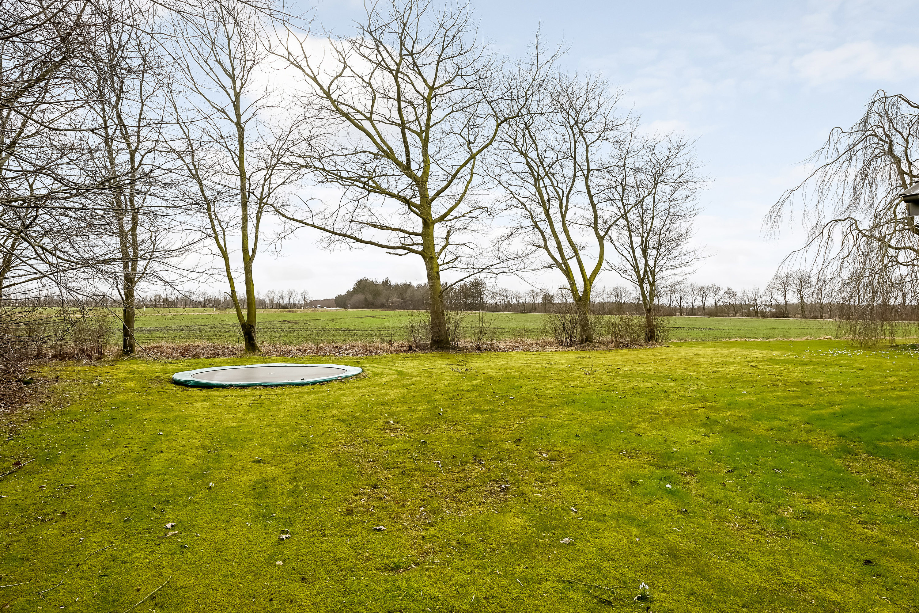 Fremhævet have billede i fuldskærmstilstand. Billede af Dalsvej 4, Dal, 7200 Grindsted