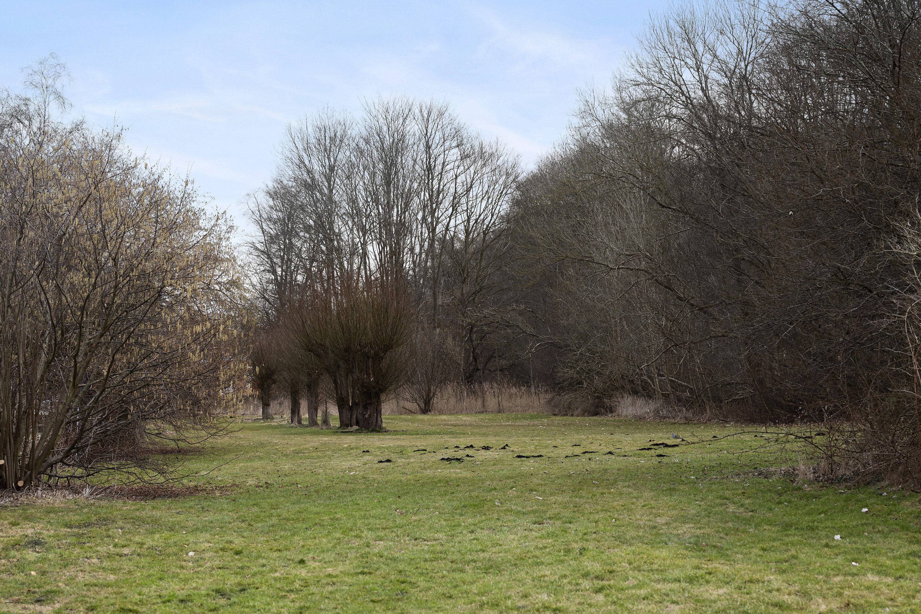Fremhævet område billede i fuldskærmstilstand. Billede af Gøngesletten 21, Trørød, 2950 Vedbæk