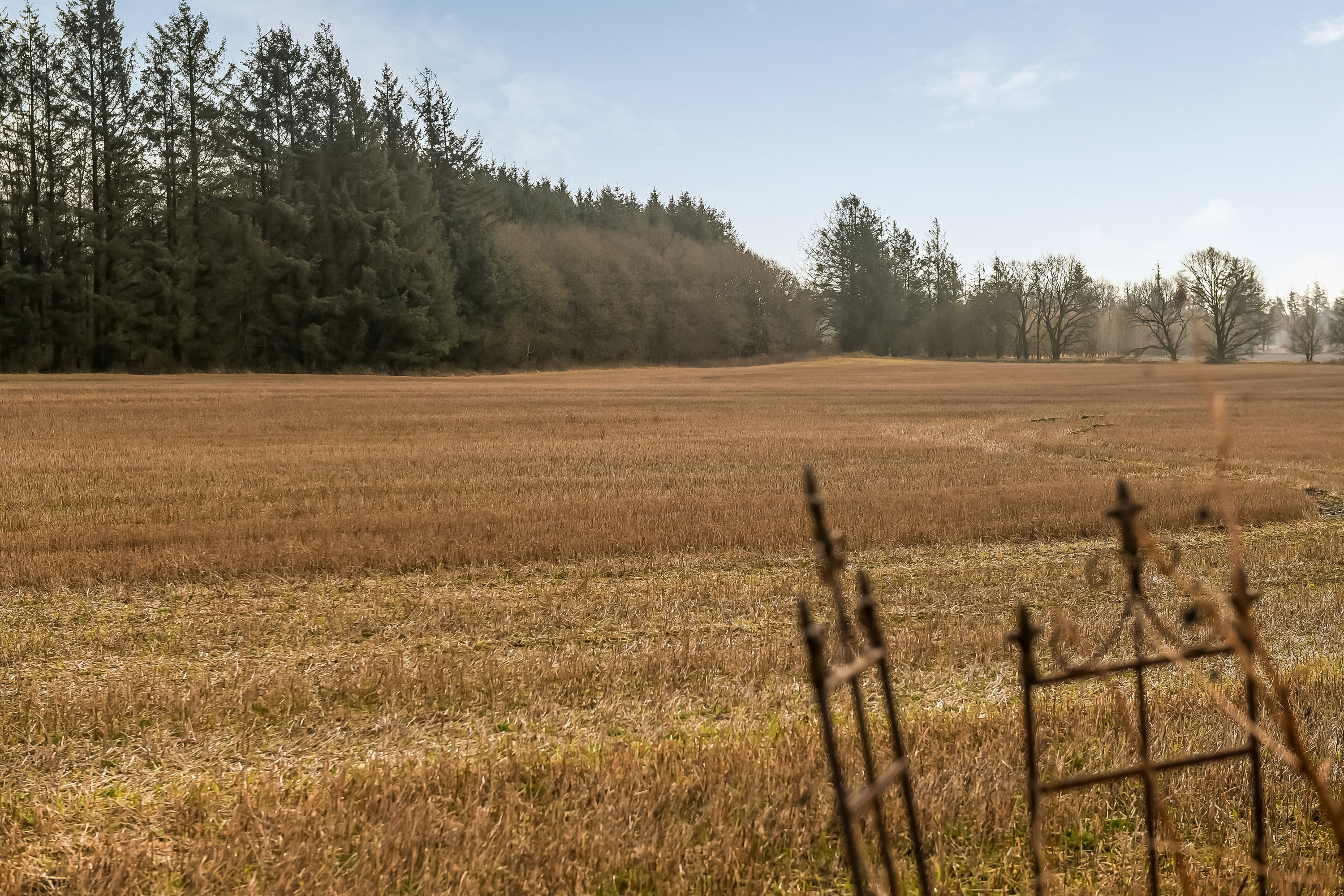 Fremhævet  billede i fuldskærmstilstand. Billede af Skødebjergvej 12, 6623 Vorbasse