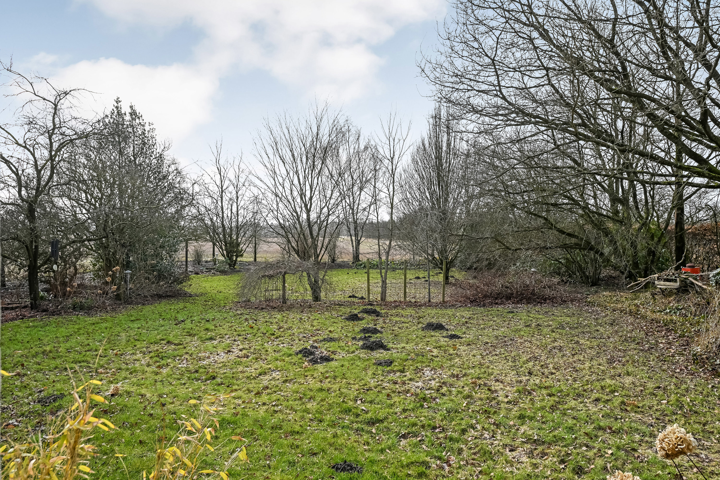 Fremhævet  billede i fuldskærmstilstand. Billede af Skødebjergvej 12, 6623 Vorbasse