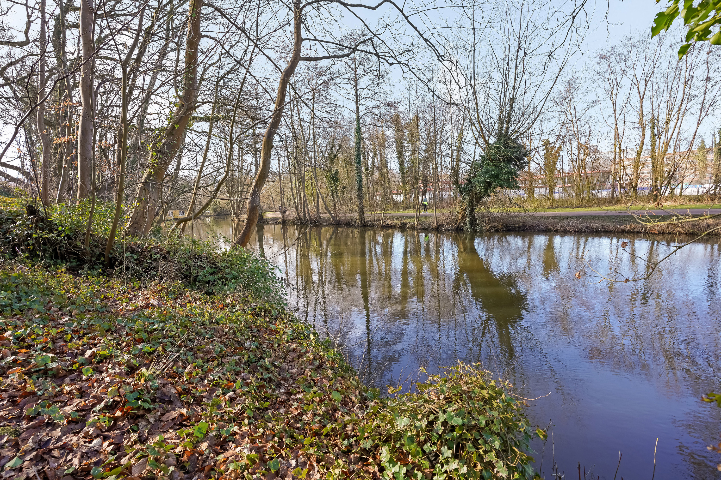 Fremhævet have billede i fuldskærmstilstand. Billede af Langelinie 41, 5230 Odense M