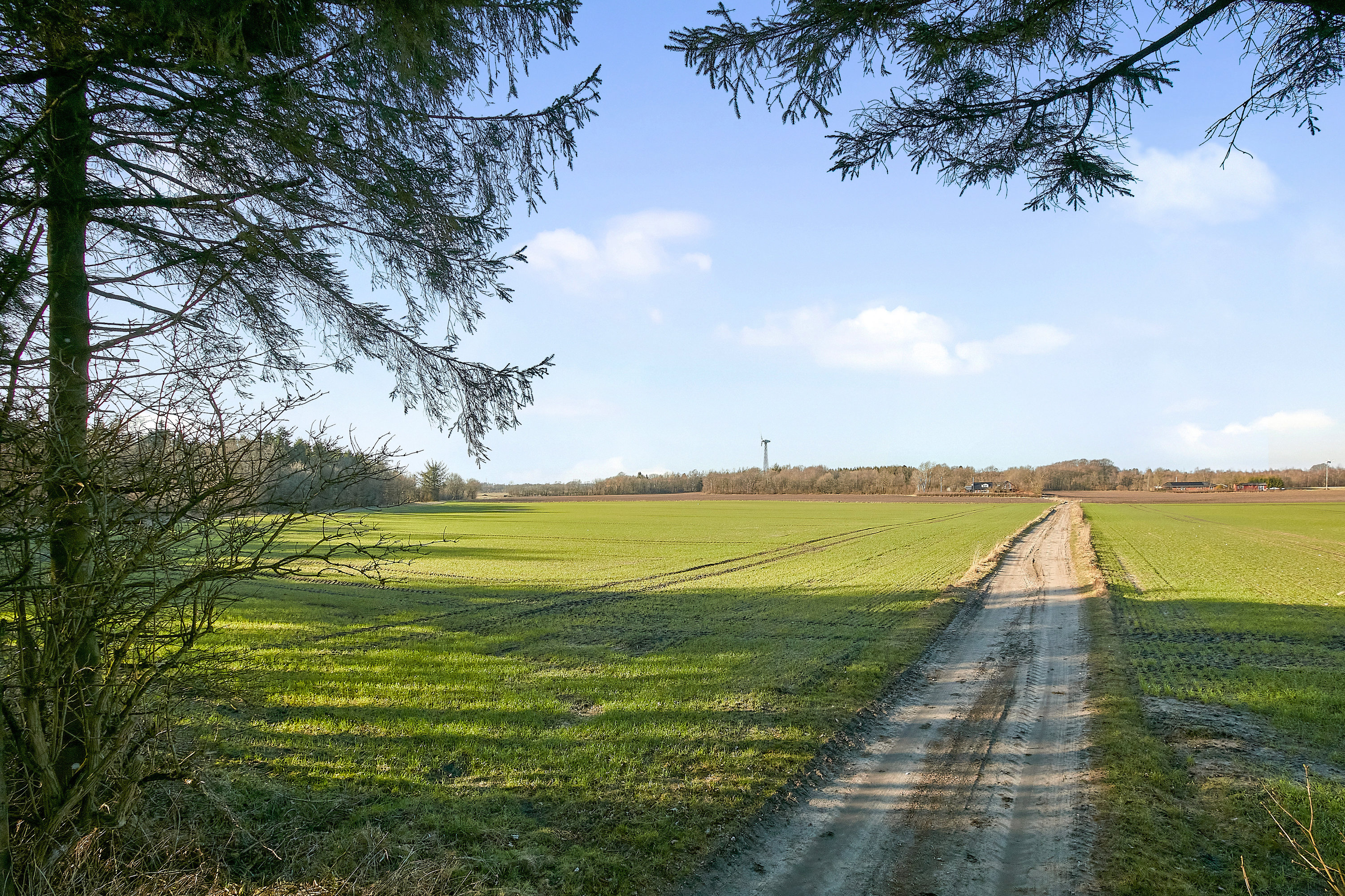 Fremhævet andet billede i fuldskærmstilstand. Billede af Knudevej 12, Knude, 7173 Vonge