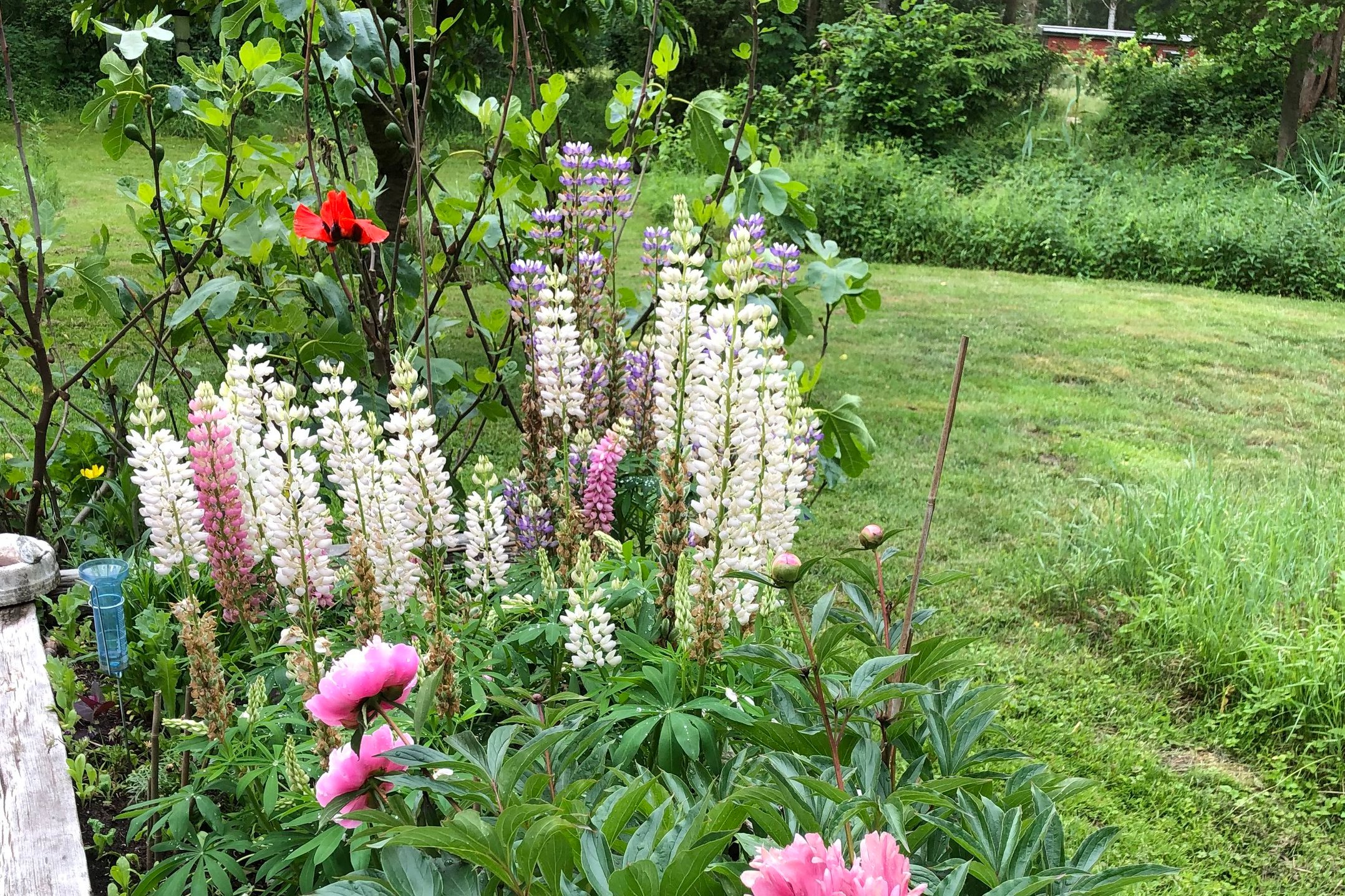 Ryagervej 41, Sandet, 3300 Frederiksværk