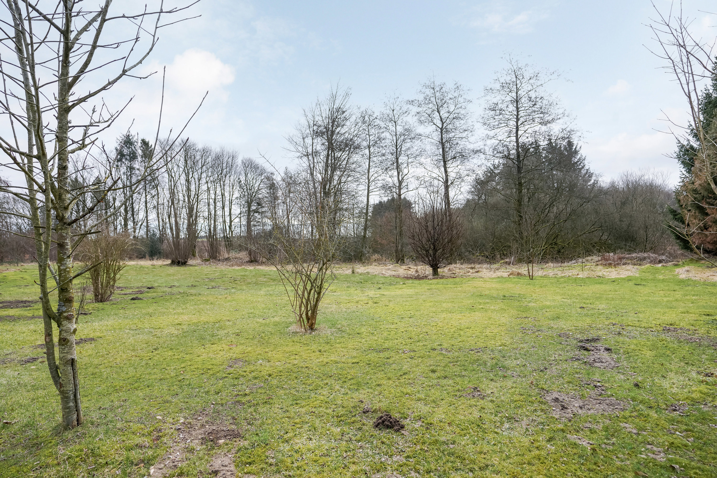 Fremhævet have billede i fuldskærmstilstand. Billede af Davdingvej 17, Davding, 8740 Brædstrup