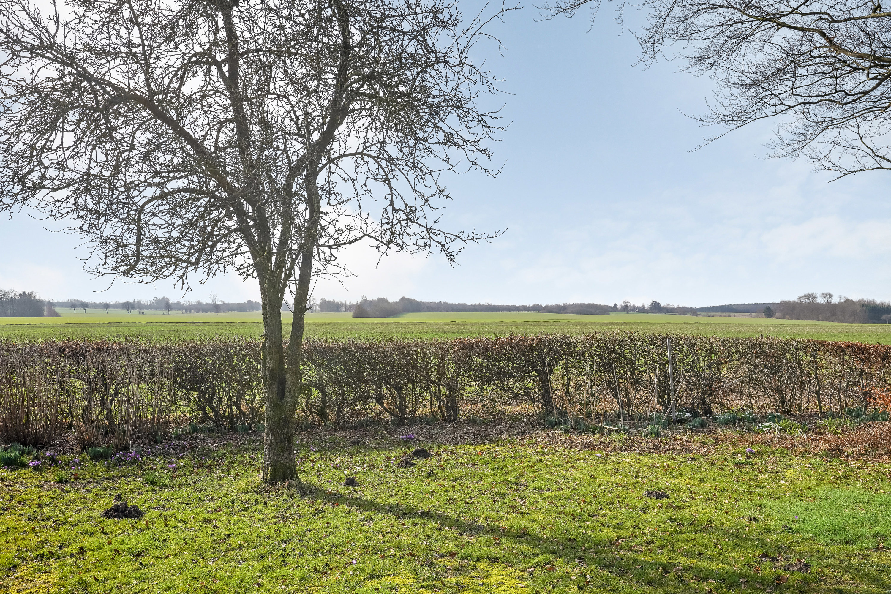 Fremhævet have billede i fuldskærmstilstand. Billede af Herningvej 11, 7300 Jelling