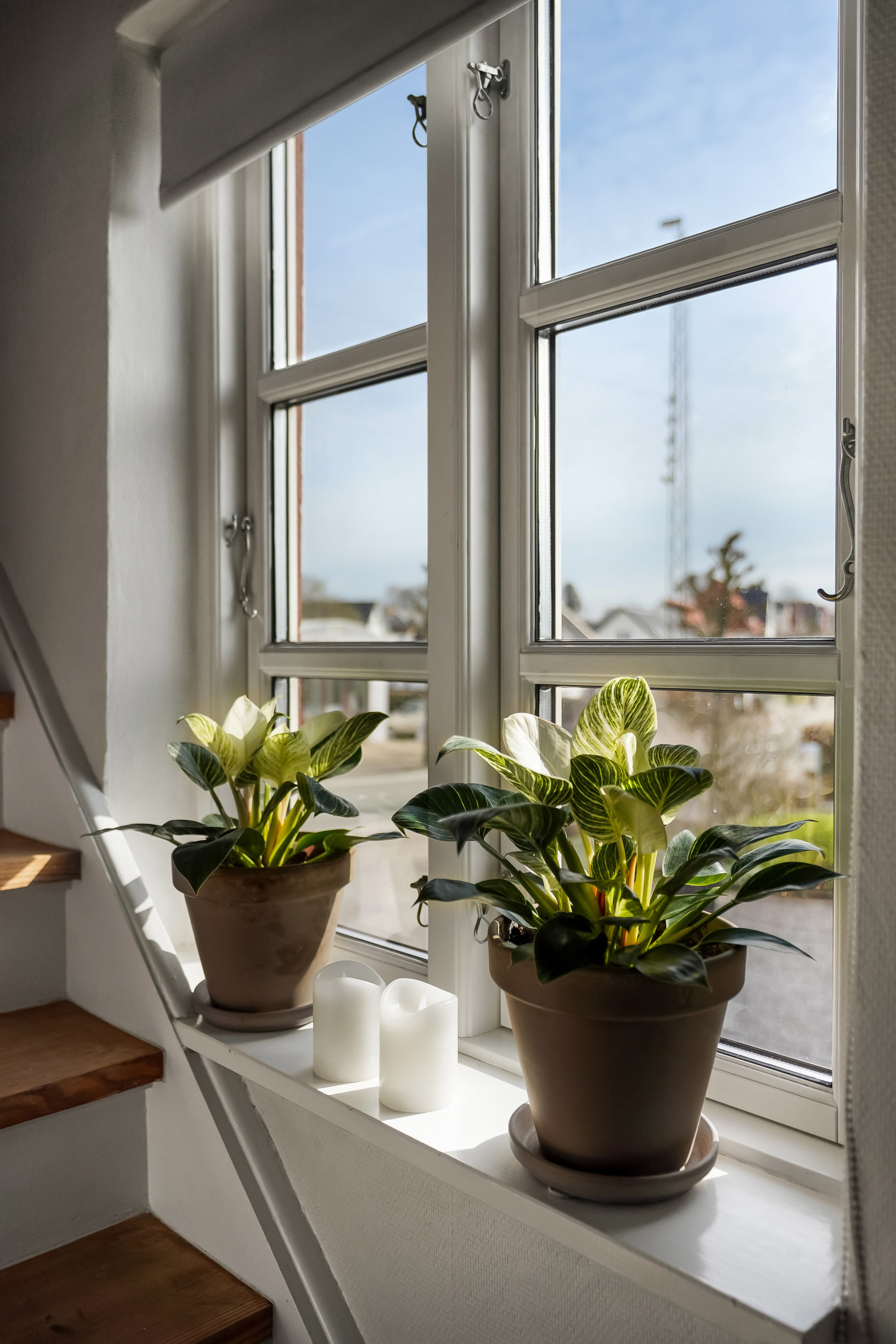 Fremhævet andet billede i fuldskærmstilstand. Billede af Assensvej 22A, 5500 Middelfart