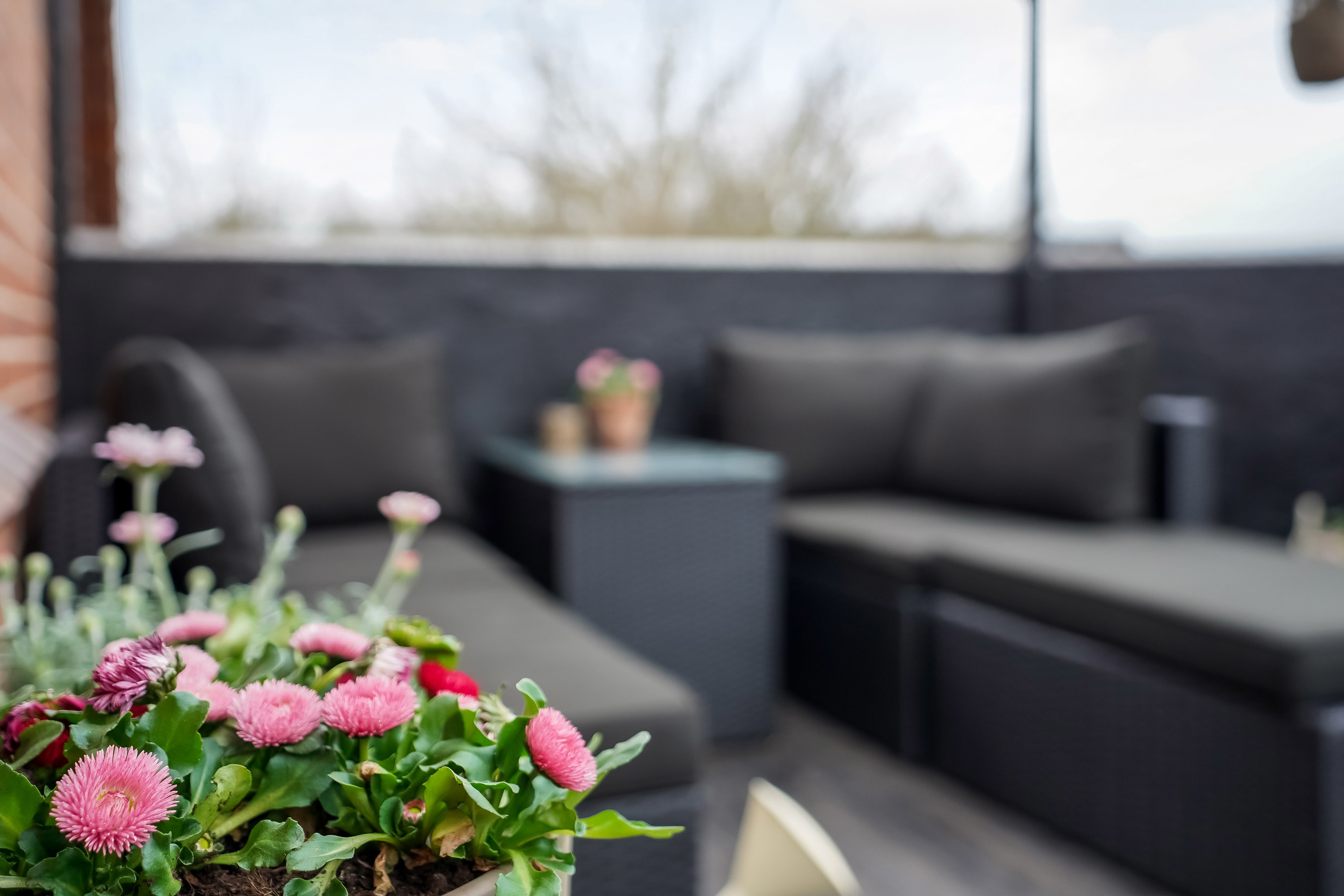 Fremhævet terrasse billede i fuldskærmstilstand. Billede af Steinsgade 16, 1. th., 5000 Odense C