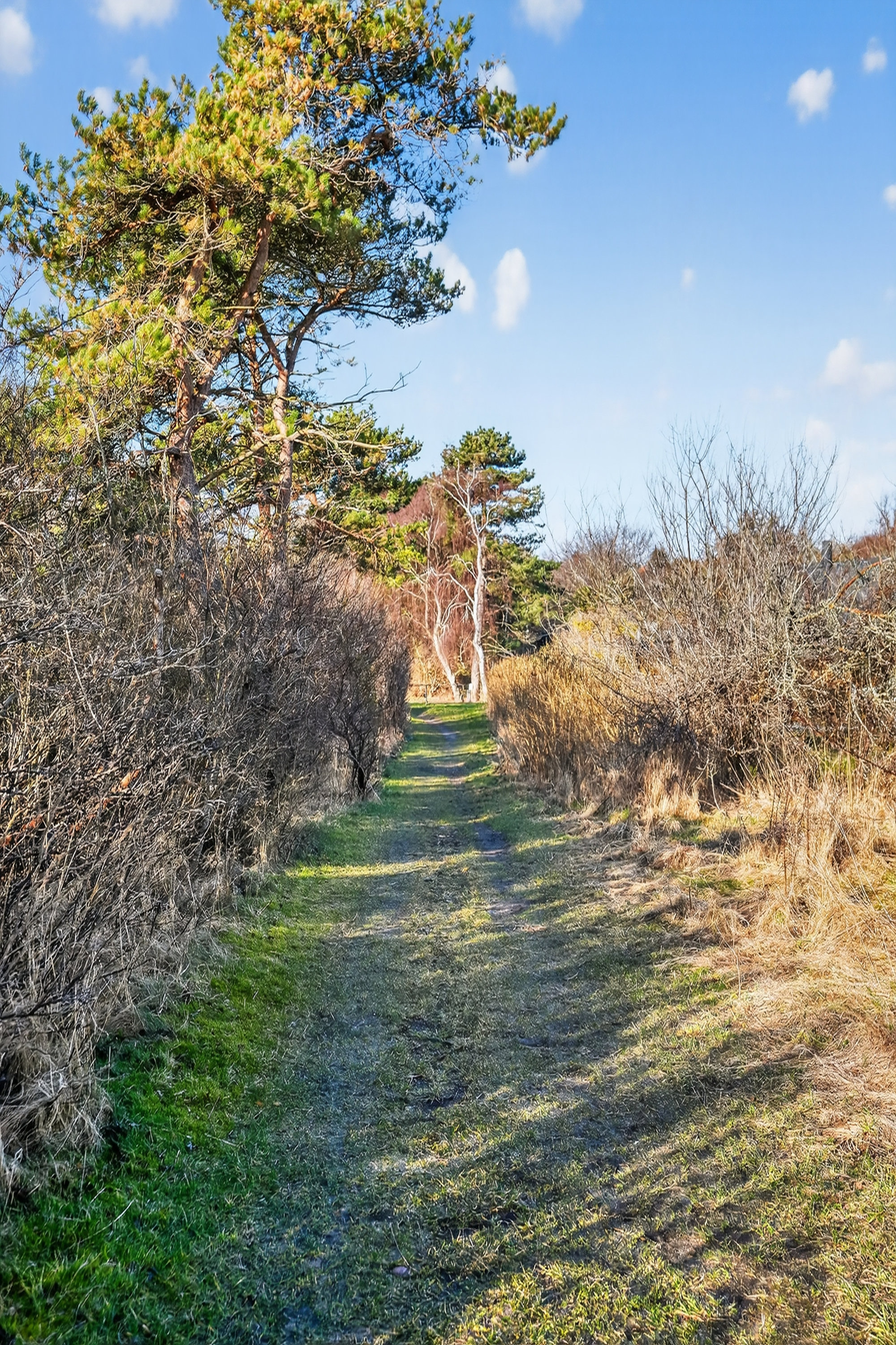 Fremhævet område billede i fuldskærmstilstand. Billede af Lærkeengen 1, Klint, 4500 Nykøbing Sj