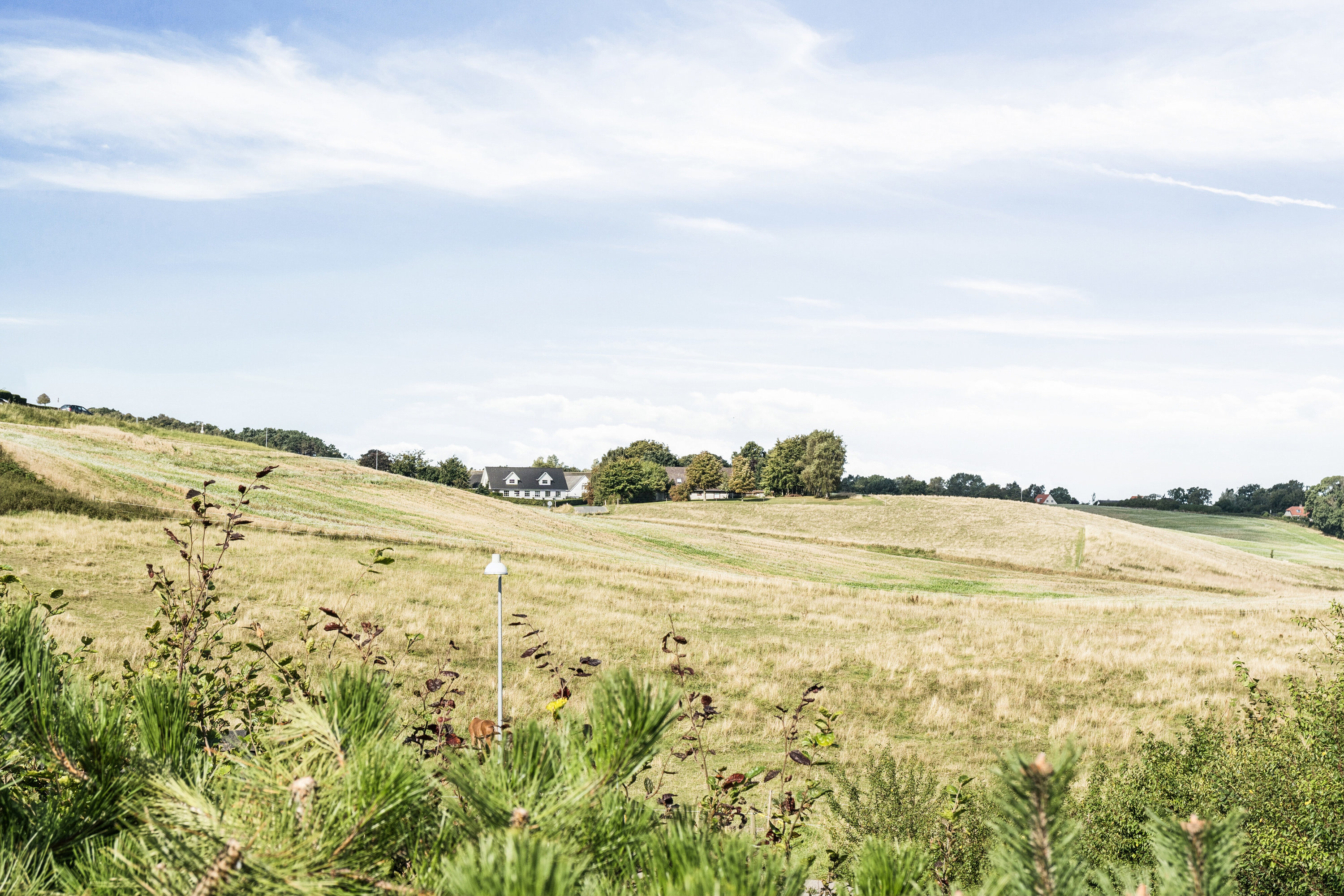 Fremhævet udendørs billede i fuldskærmstilstand. Billede af Nordtoften 12, Høve, 4550 Asnæs