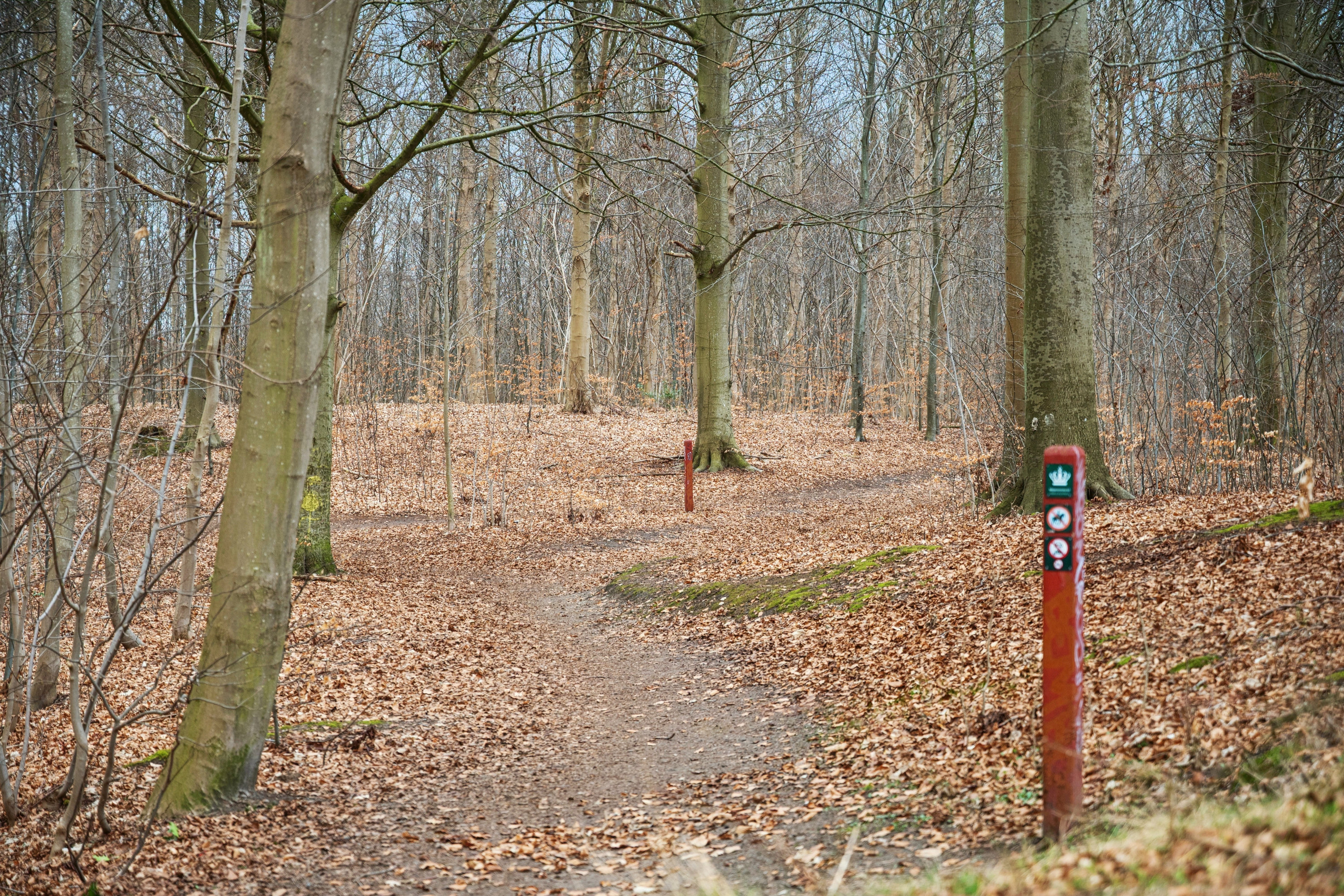 Fremhævet omgivelser billede i fuldskærmstilstand. Billede af Bygmarken 12, Mørdrup, 3060 Espergærde