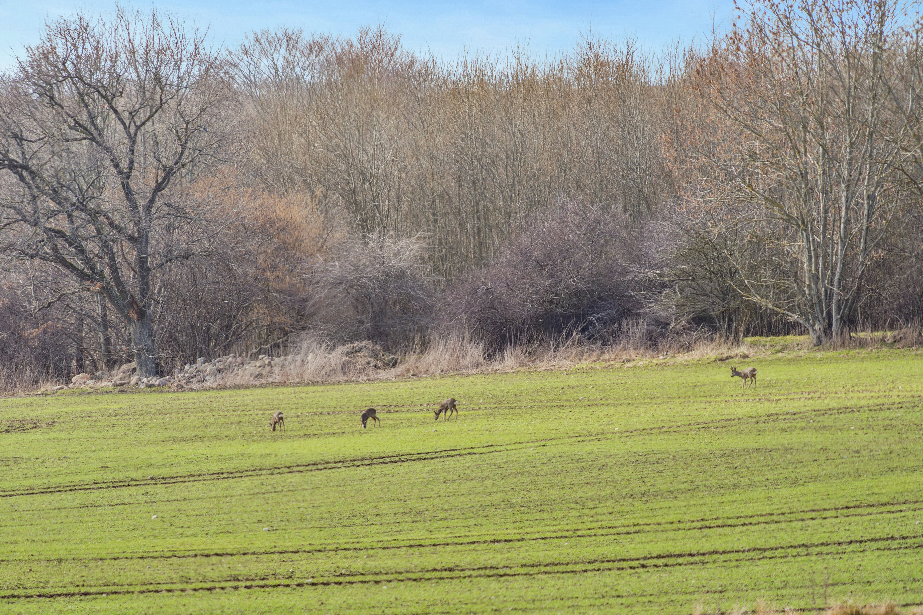 Fremhævet udsigt billede i fuldskærmstilstand. Billede af Sølvagervej 6, 4640 Faxe