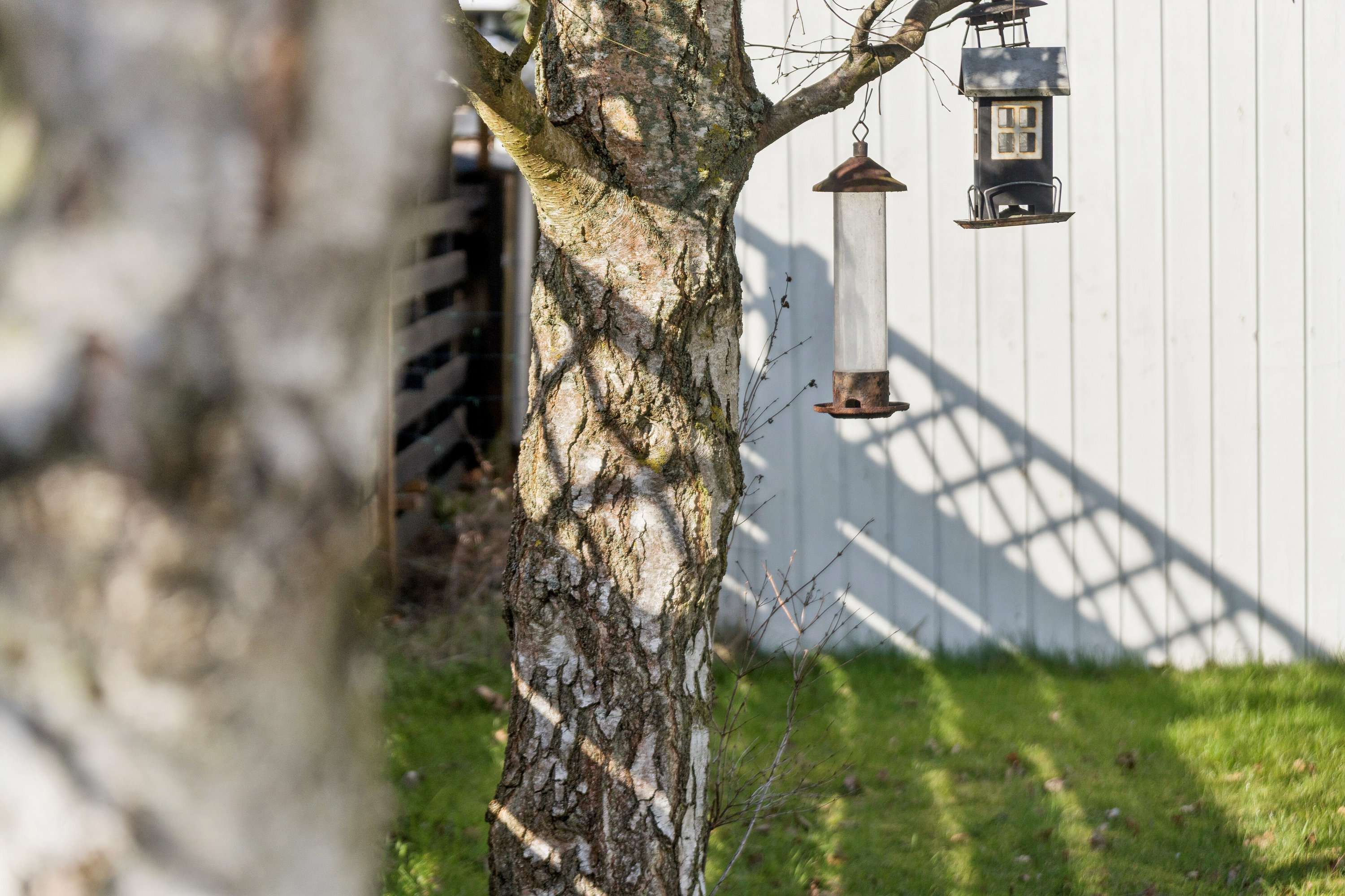 Fremhævet udhus billede i fuldskærmstilstand. Billede af Tjørnelunden 13, Bjerge Str, 4480 Store Fuglede