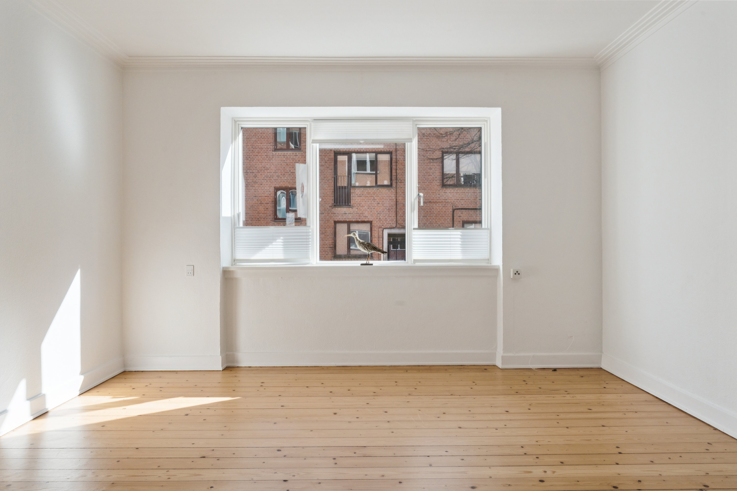 Fremhævet værelse billede i fuldskærmstilstand. Billede af Dybbølgade 5, st.. tv., 9000 Aalborg