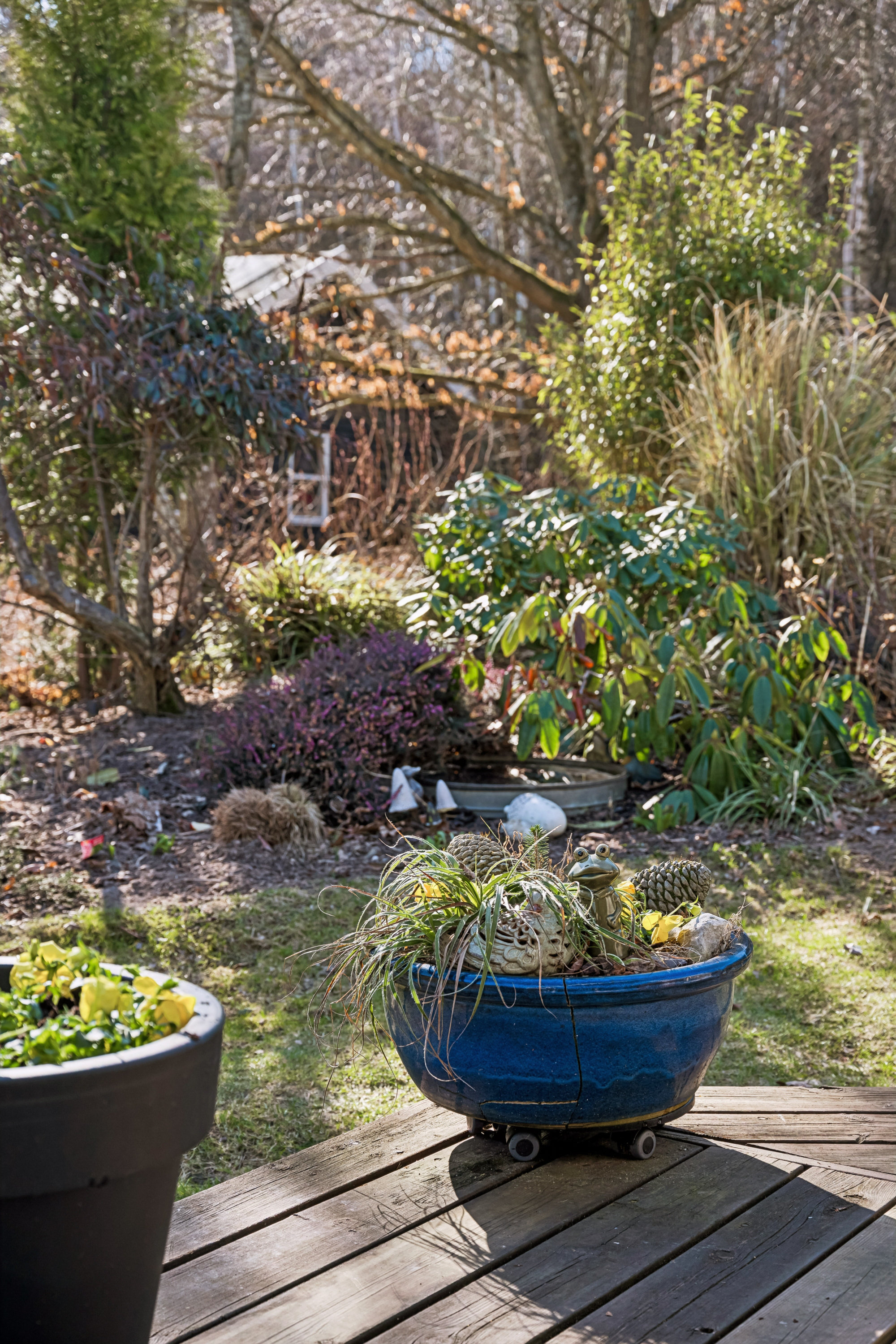 Fremhævet have billede i fuldskærmstilstand. Billede af Bindeleddet 4, Landborup, 8420 Knebel