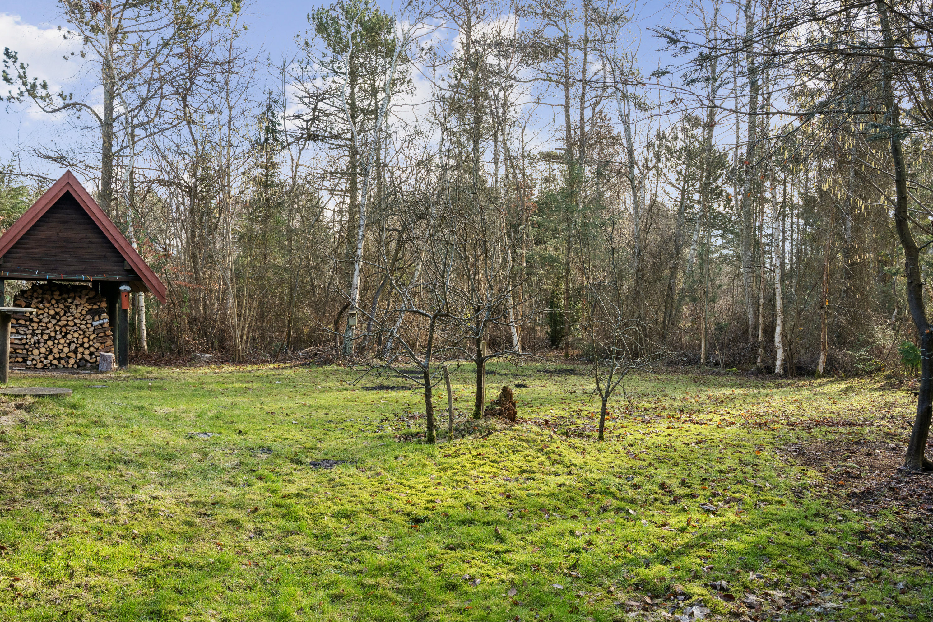 Fremhævet andet billede i fuldskærmstilstand. Billede af Bjarkes Grund 6, Øer Strand, 8400 Ebeltoft