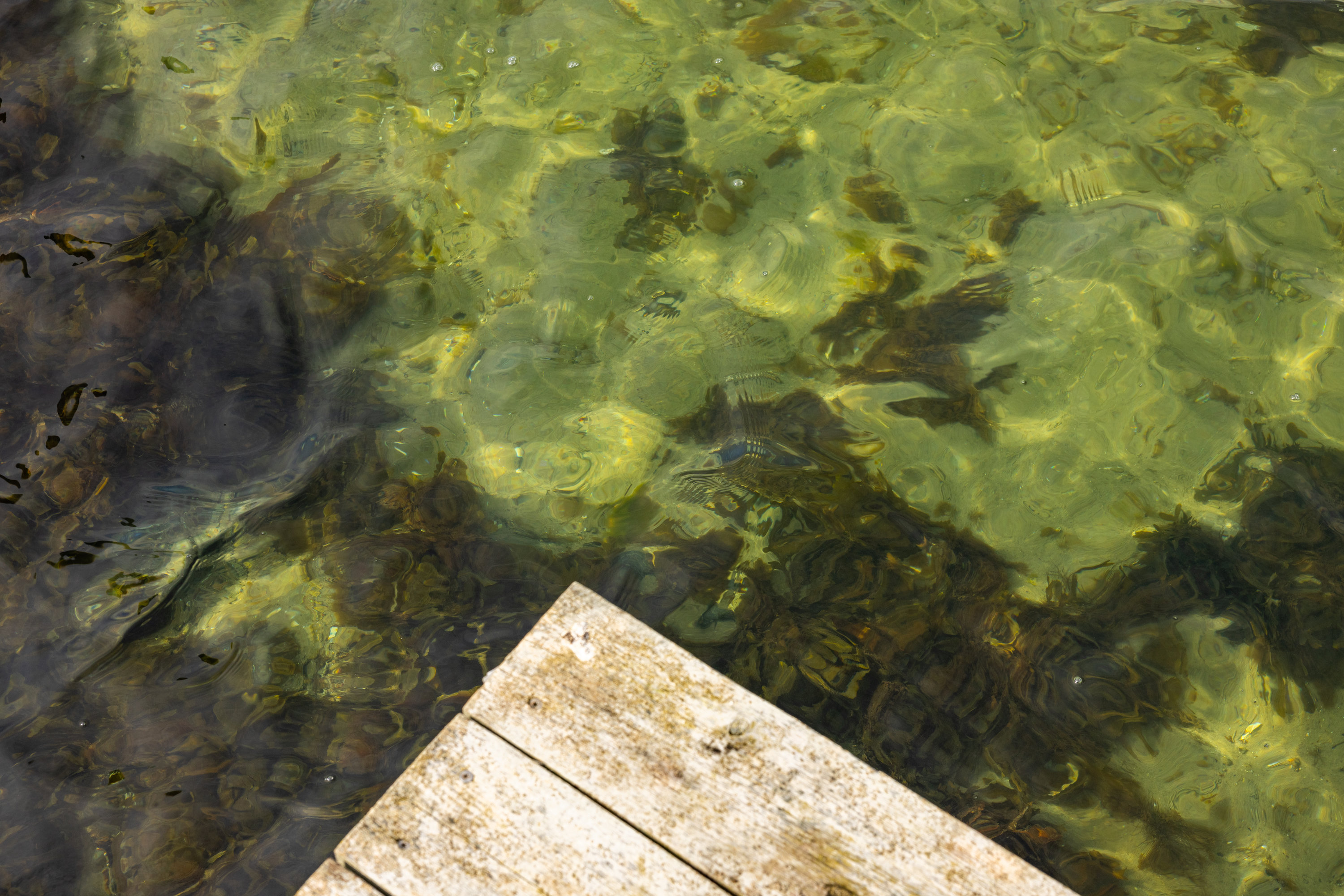 Fremhævet andet billede i fuldskærmstilstand. Billede af Olfert Fischers Vej 4, Tåsinge, 5700 Svendborg