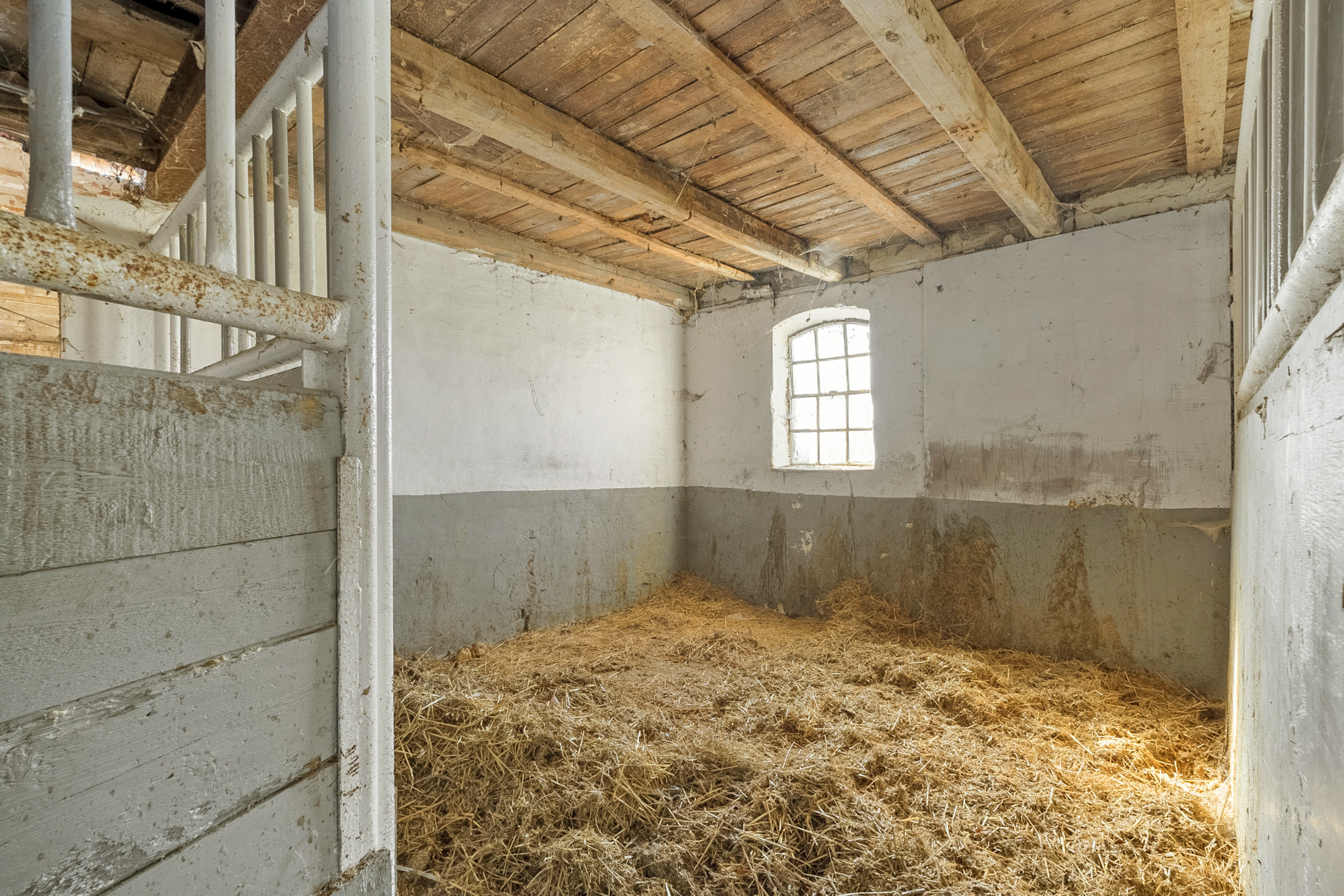 Fremhævet område billede i fuldskærmstilstand. Billede af Egensevej 25, Egense Mark, 5450 Otterup