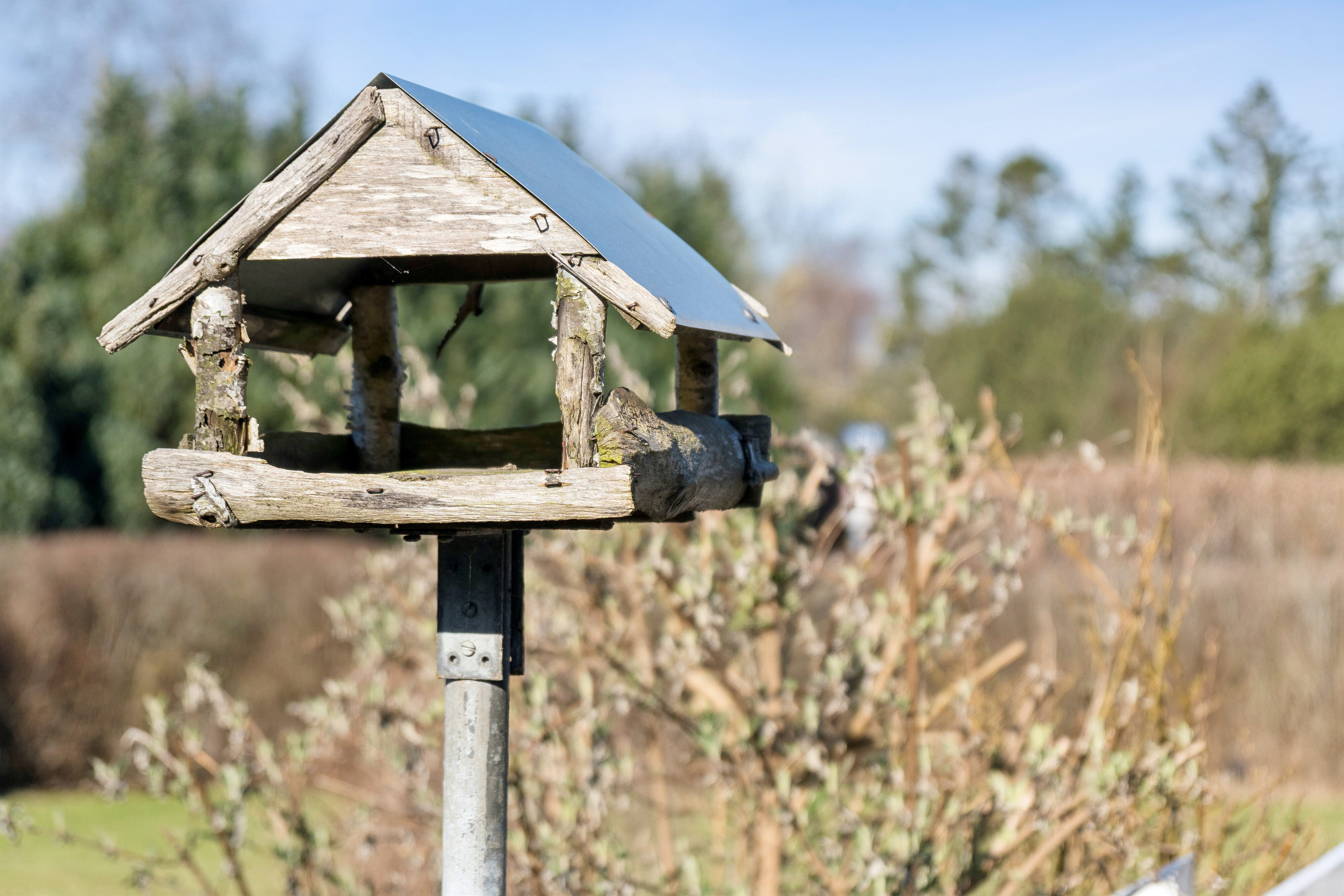 Fremhævet udendørs billede i fuldskærmstilstand. Billede af Klinteborgvej 2, Ordrup, 4540 Fårevejle