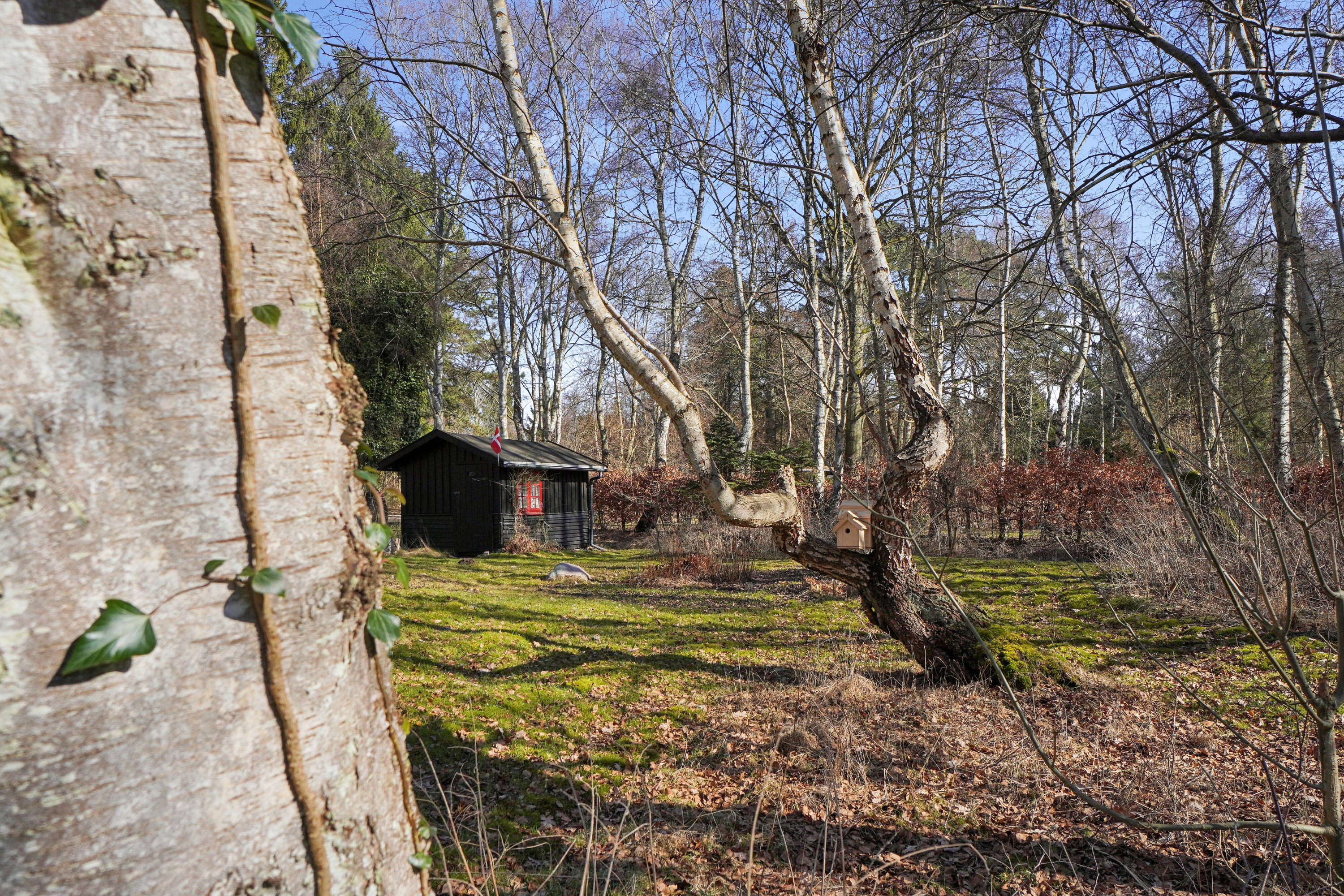 Fremhævet udendørs billede i fuldskærmstilstand. Billede af Ryagervej 41, Sandet, 3300 Frederiksværk