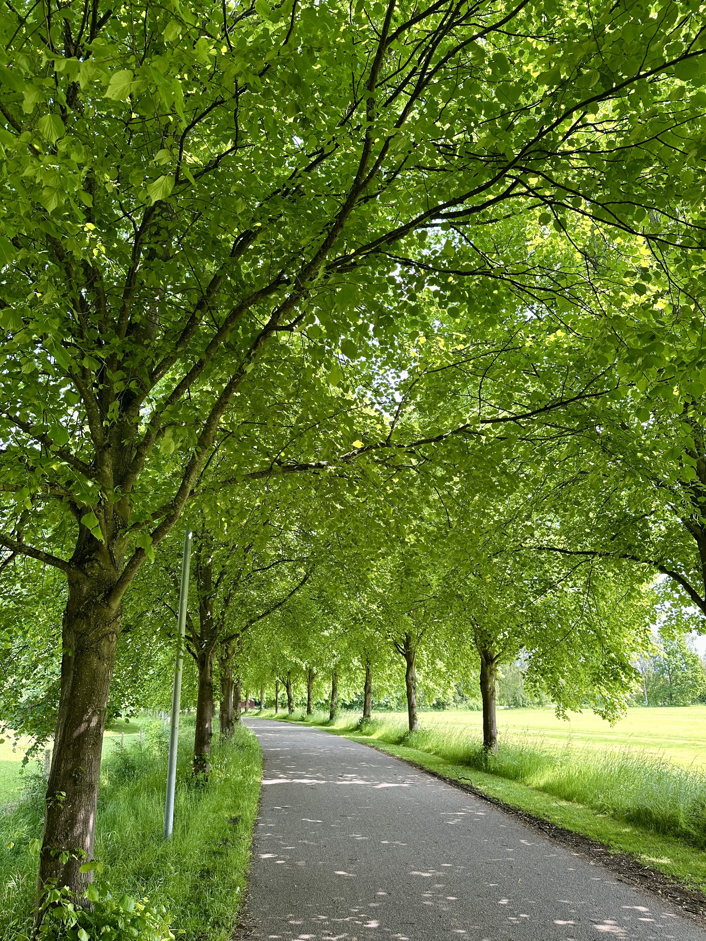 Fremhævet  billede i fuldskærmstilstand. Billede af Vingeager 9, 2600 Glostrup