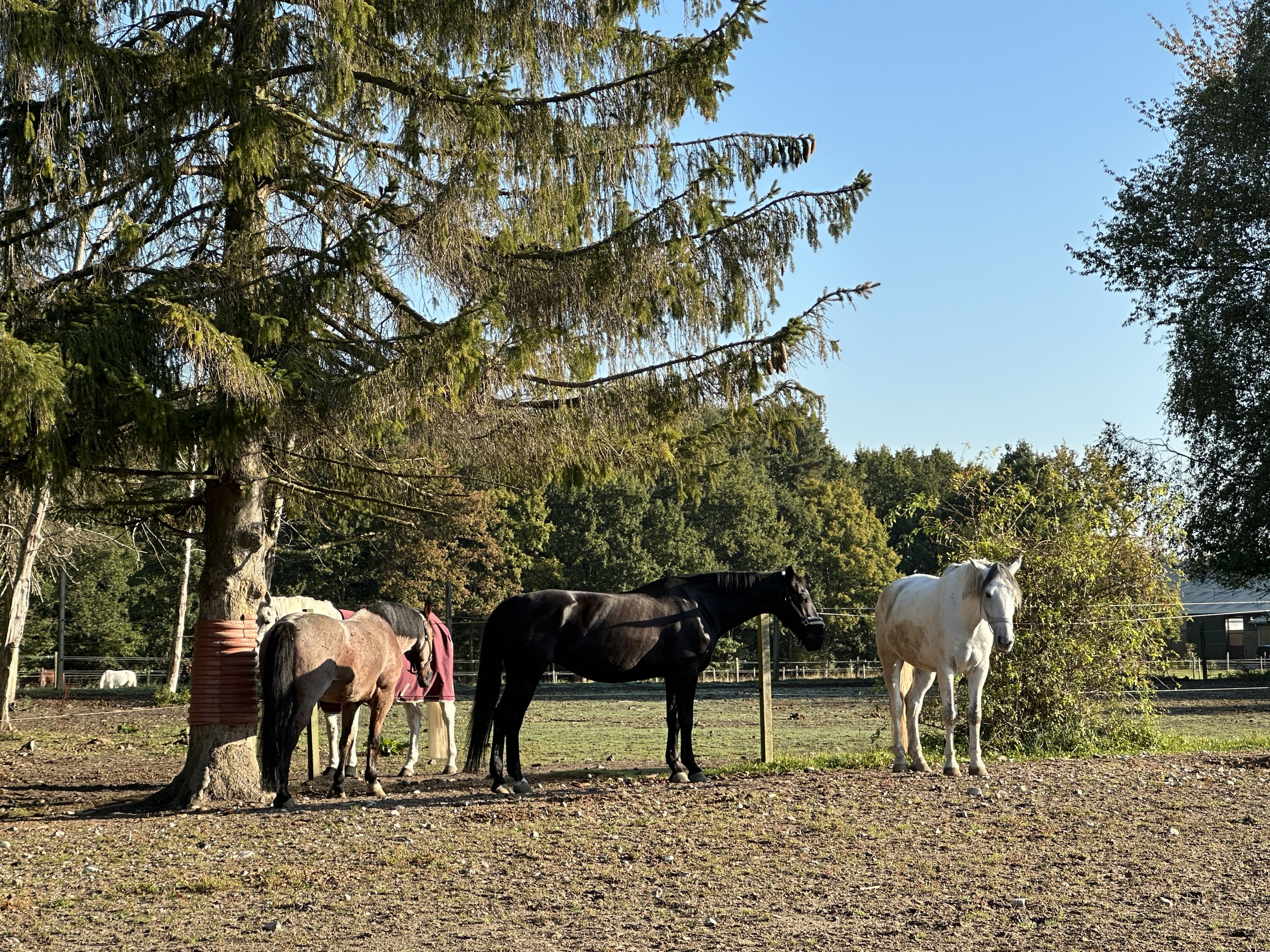 Fremhævet  billede i fuldskærmstilstand. Billede af Vingeager 9, 2600 Glostrup
