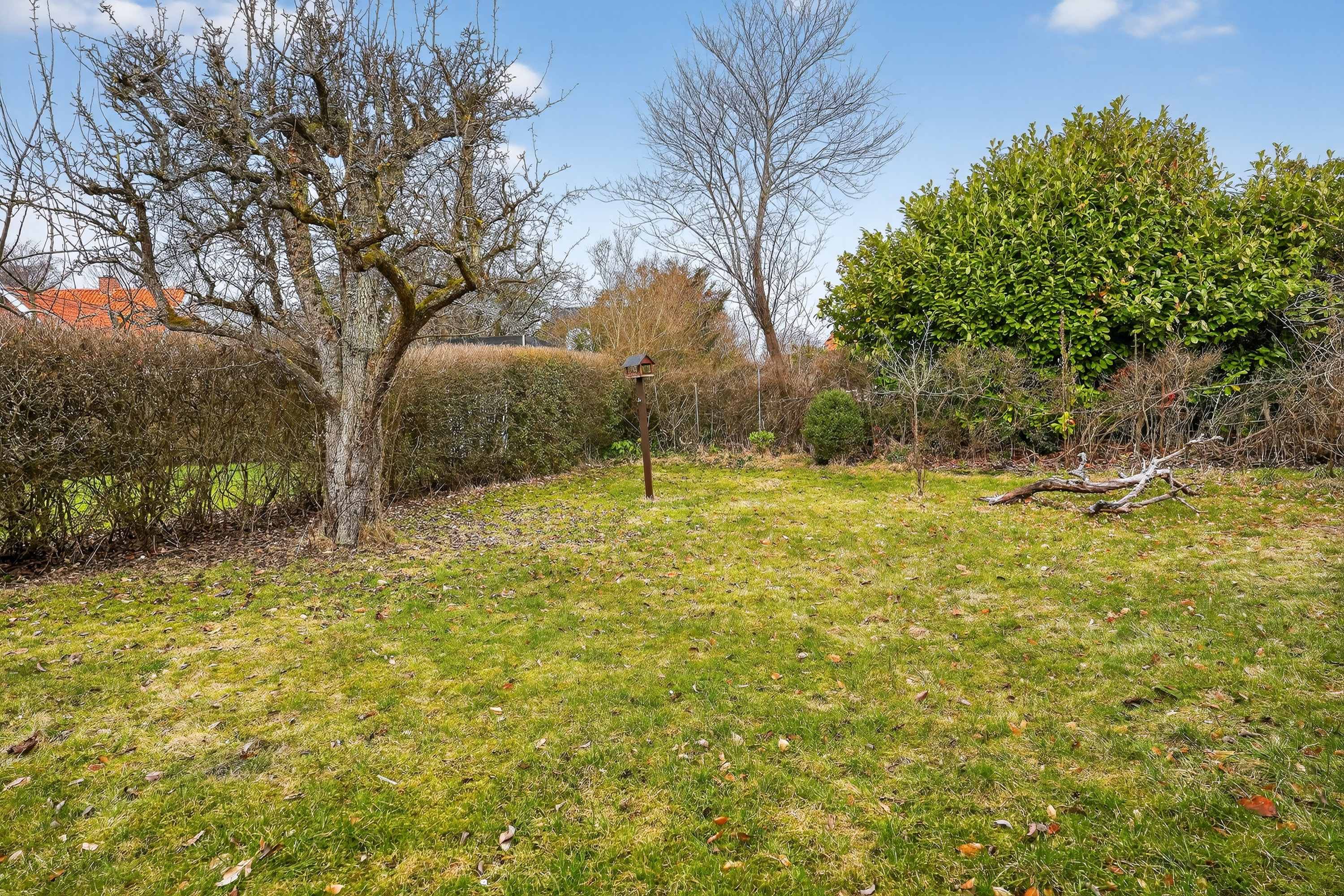 Fremhævet have billede i fuldskærmstilstand. Billede af Læssøesvej 30, 3000 Helsingør