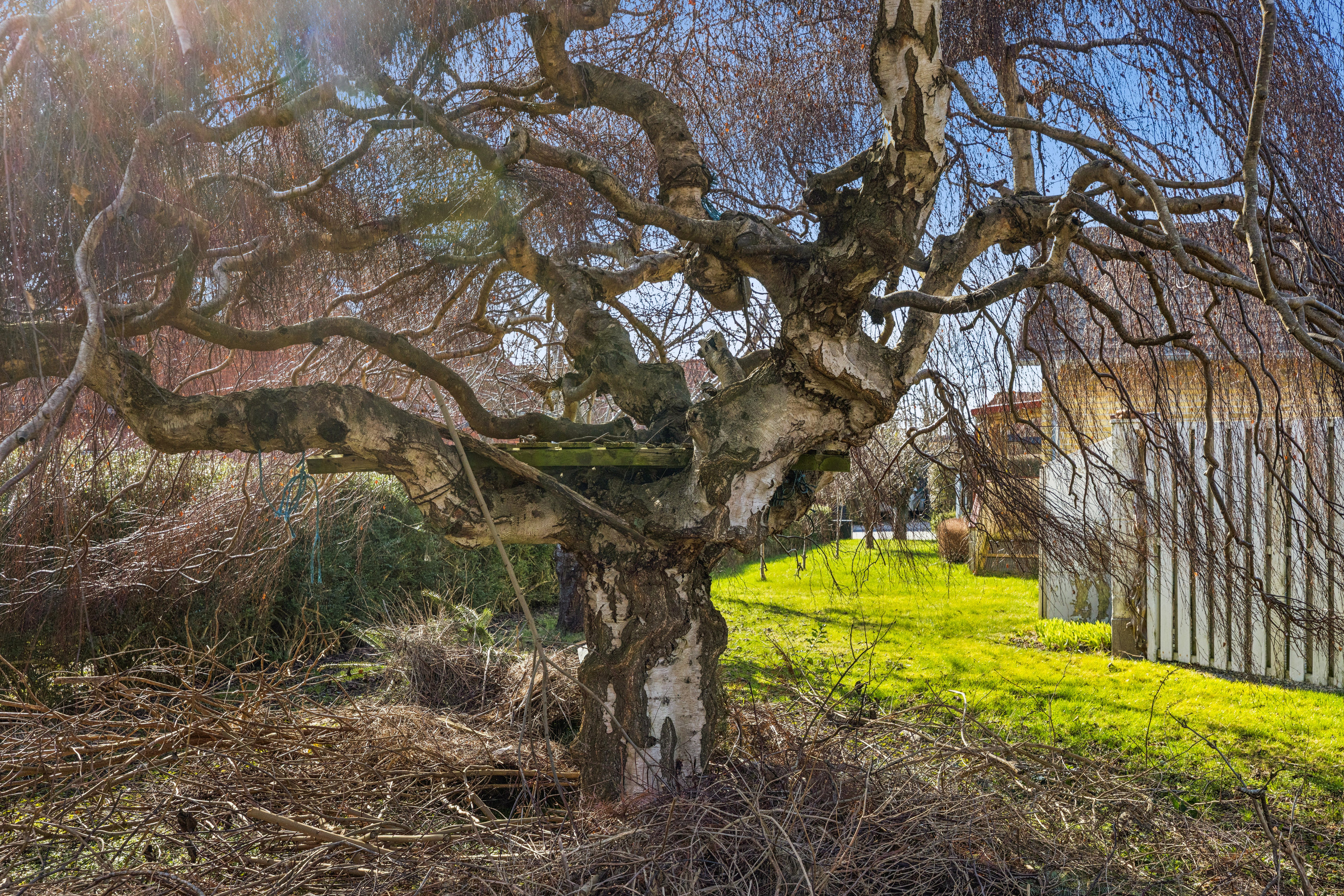 Fremhævet omgivelser billede i fuldskærmstilstand. Billede af Blomstervænget 10, 5610 Assens