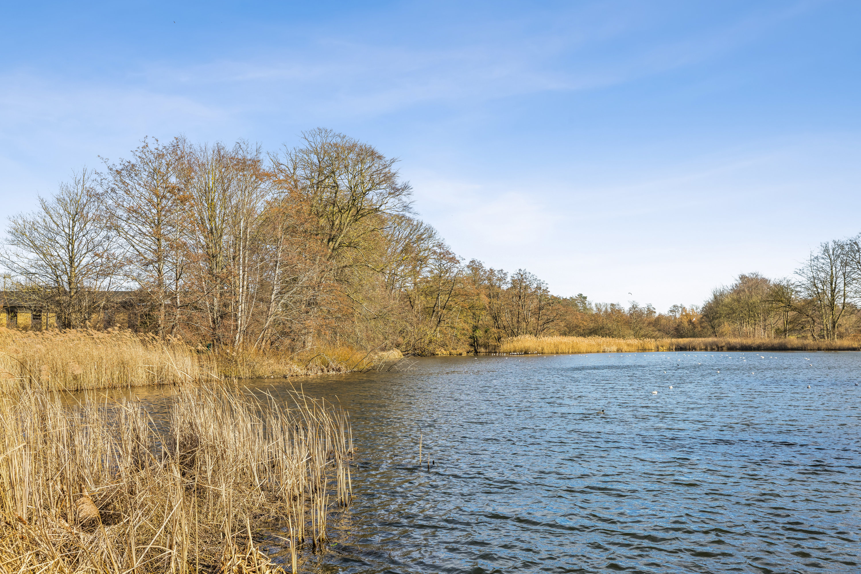 Fåborgvej 2, 5610 Assens