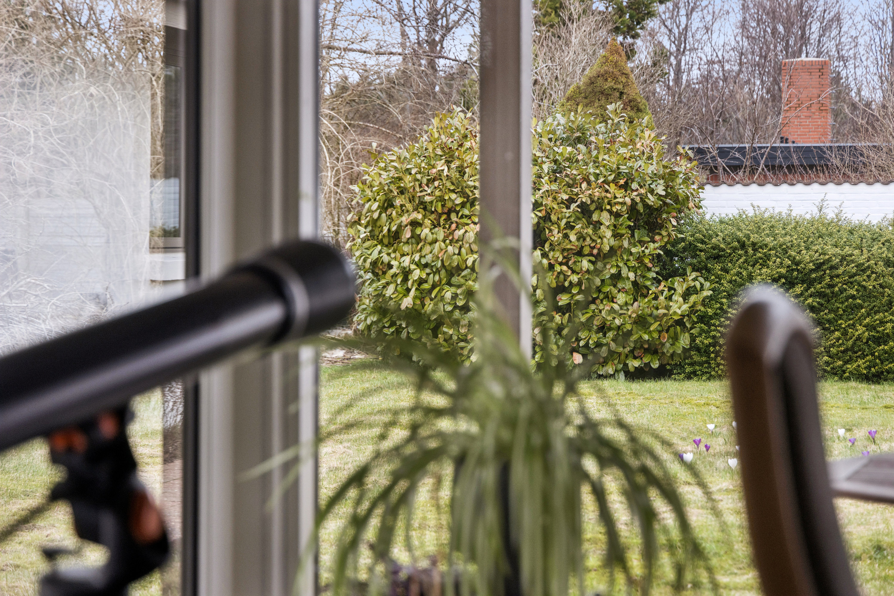 Fremhævet have billede i fuldskærmstilstand. Billede af Lævej 11, 9881 Bindslev