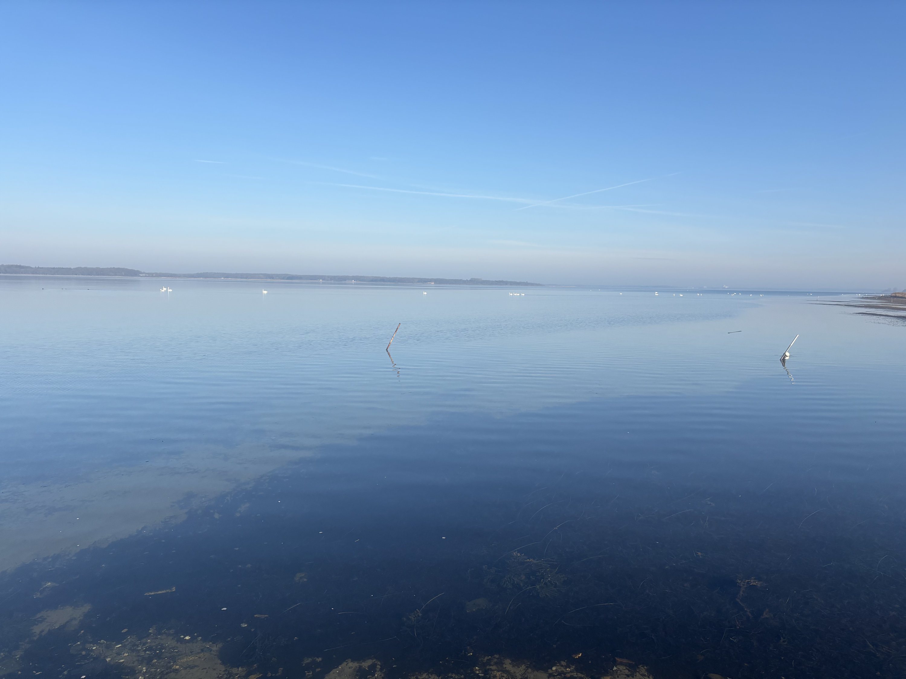 Fremhævet  billede i fuldskærmstilstand. Billede af Stavreby Strandvej 6, 4874 Gedser