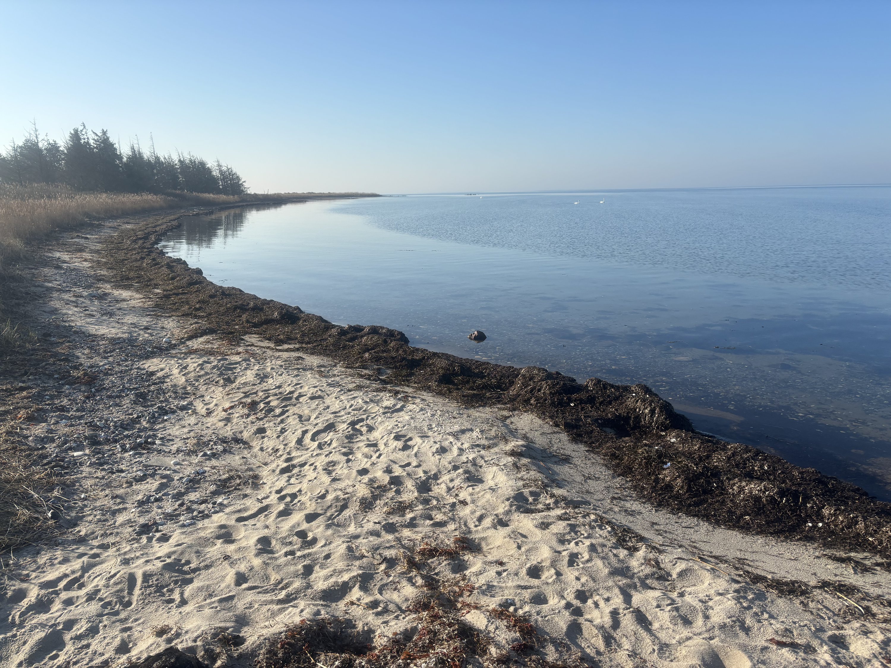 Fremhævet  billede i fuldskærmstilstand. Billede af Stavreby Strandvej 6, 4874 Gedser