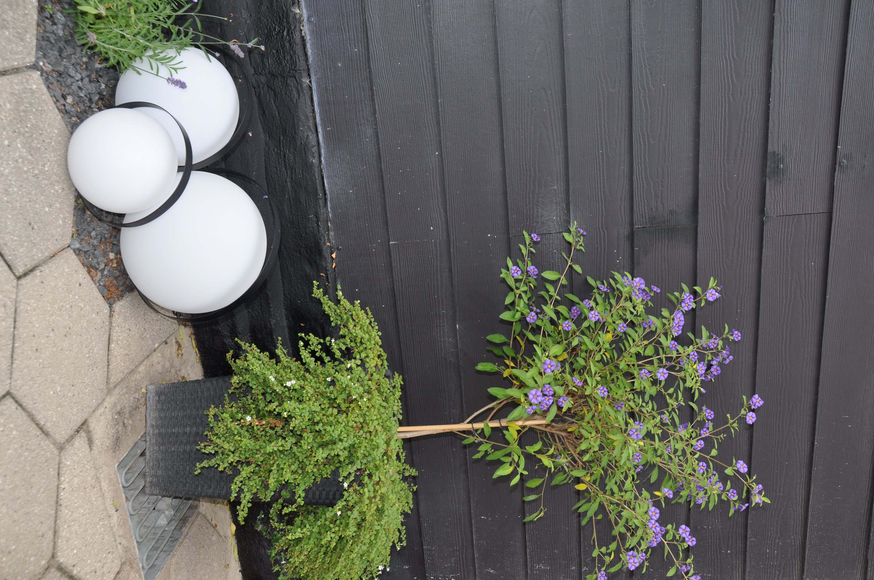 Fremhævet  billede i fuldskærmstilstand. Billede af Damgade 10, 5610 Assens