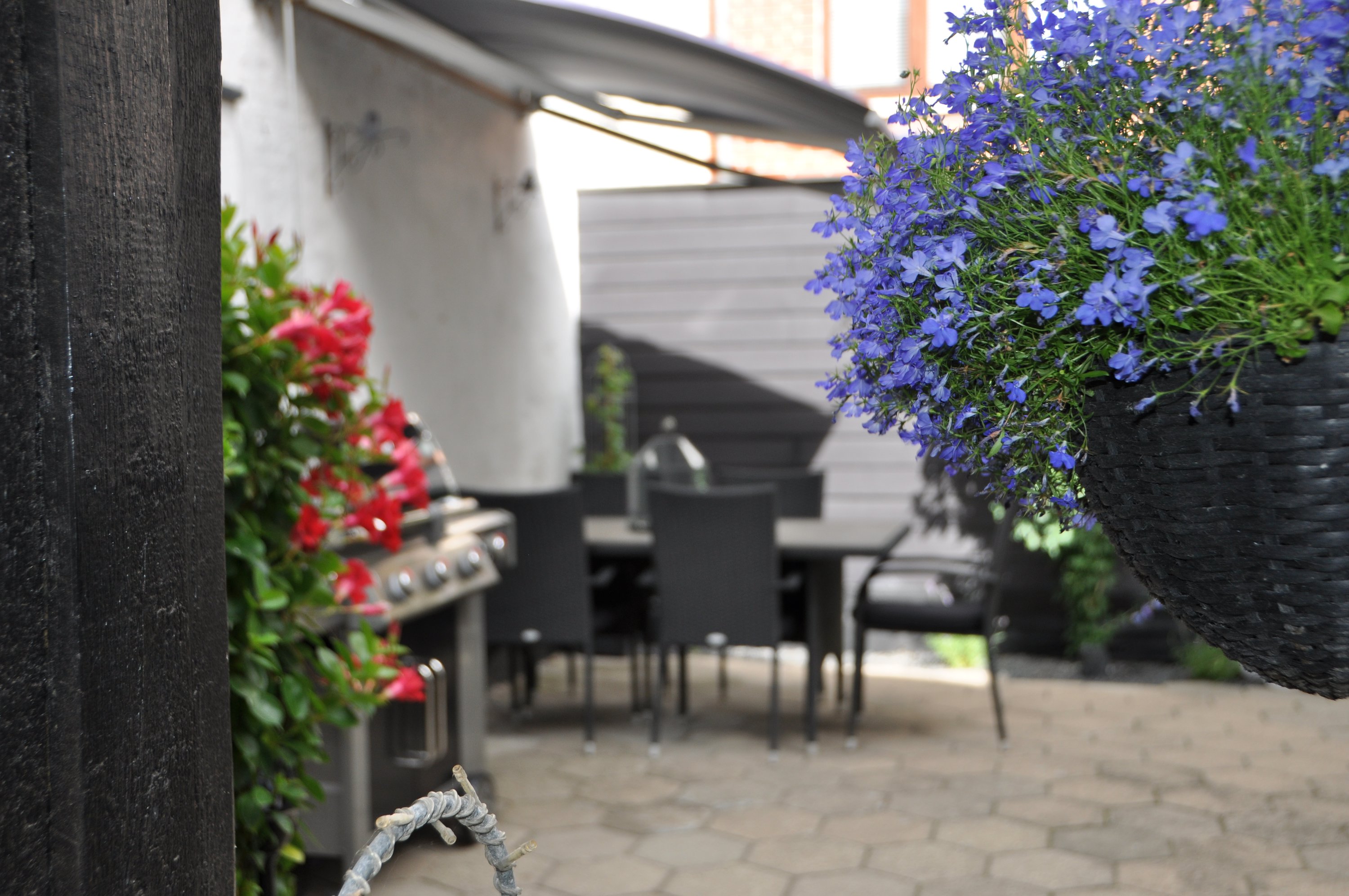 Fremhævet  billede i fuldskærmstilstand. Billede af Damgade 10, 5610 Assens