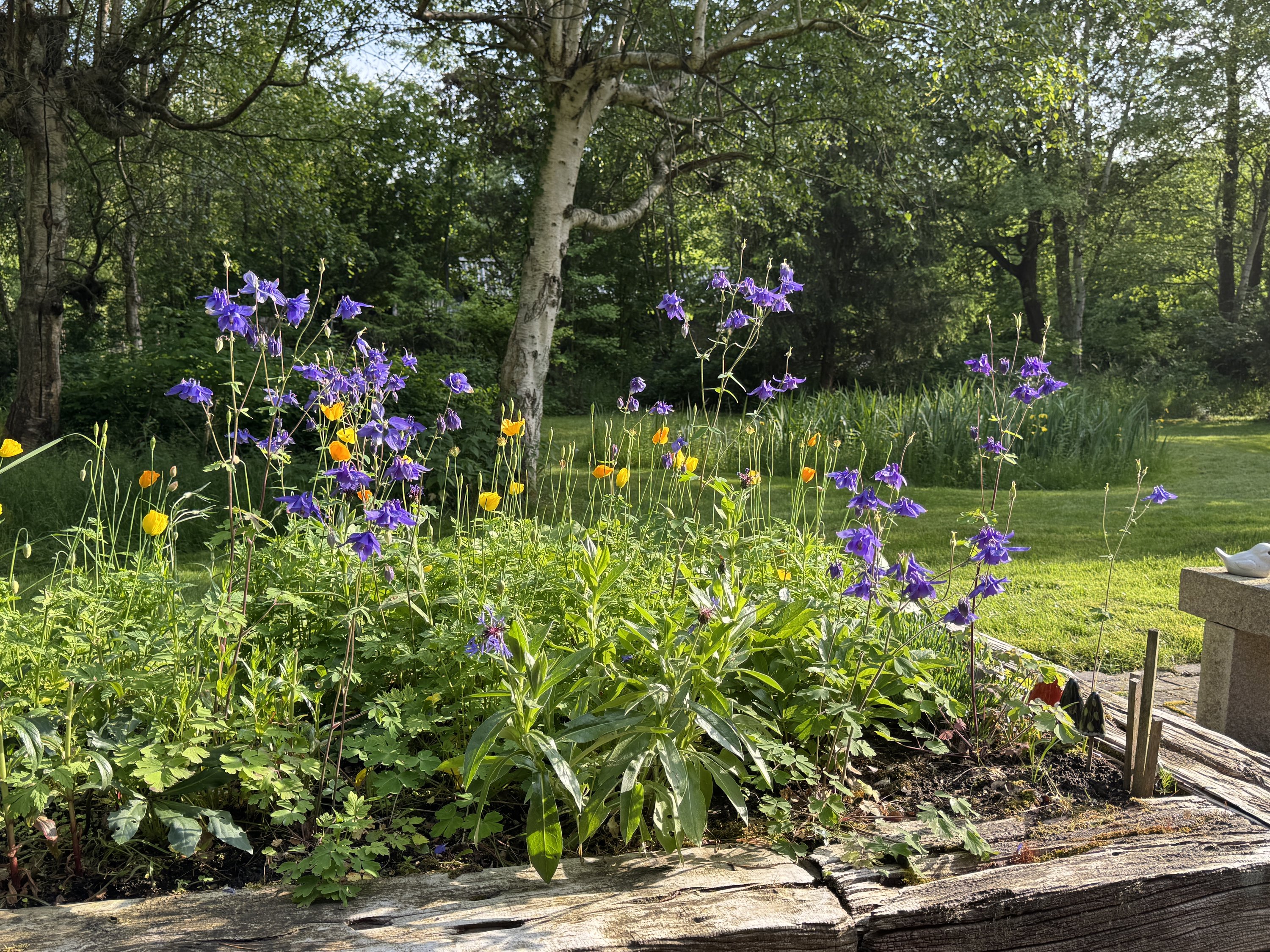 Fremhævet udendørs billede i fuldskærmstilstand. Billede af Ryagervej 41, Sandet, 3300 Frederiksværk