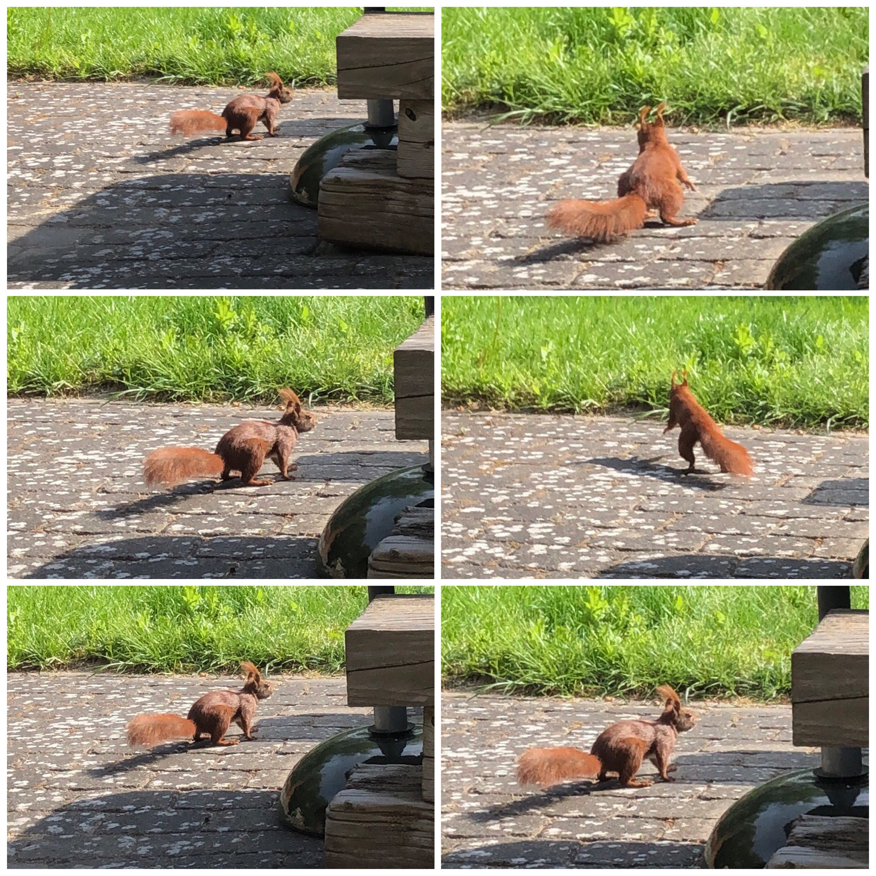 Fremhævet udendørs billede i fuldskærmstilstand. Billede af Ryagervej 41, Sandet, 3300 Frederiksværk