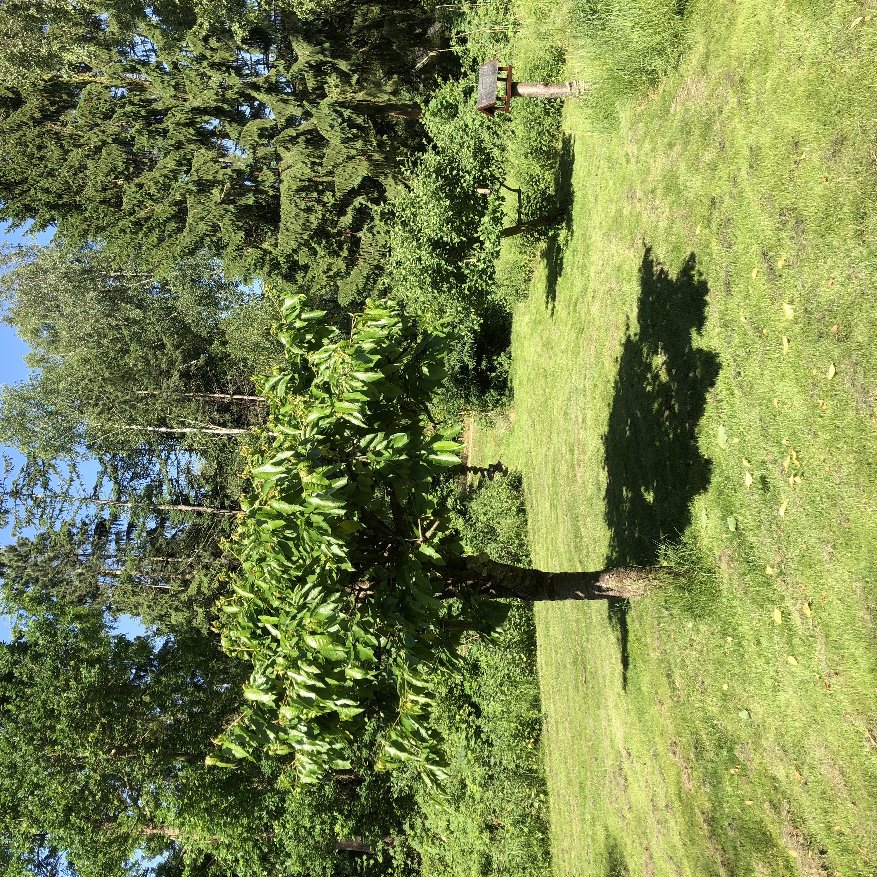 Fremhævet udendørs billede i fuldskærmstilstand. Billede af Ryagervej 41, Sandet, 3300 Frederiksværk