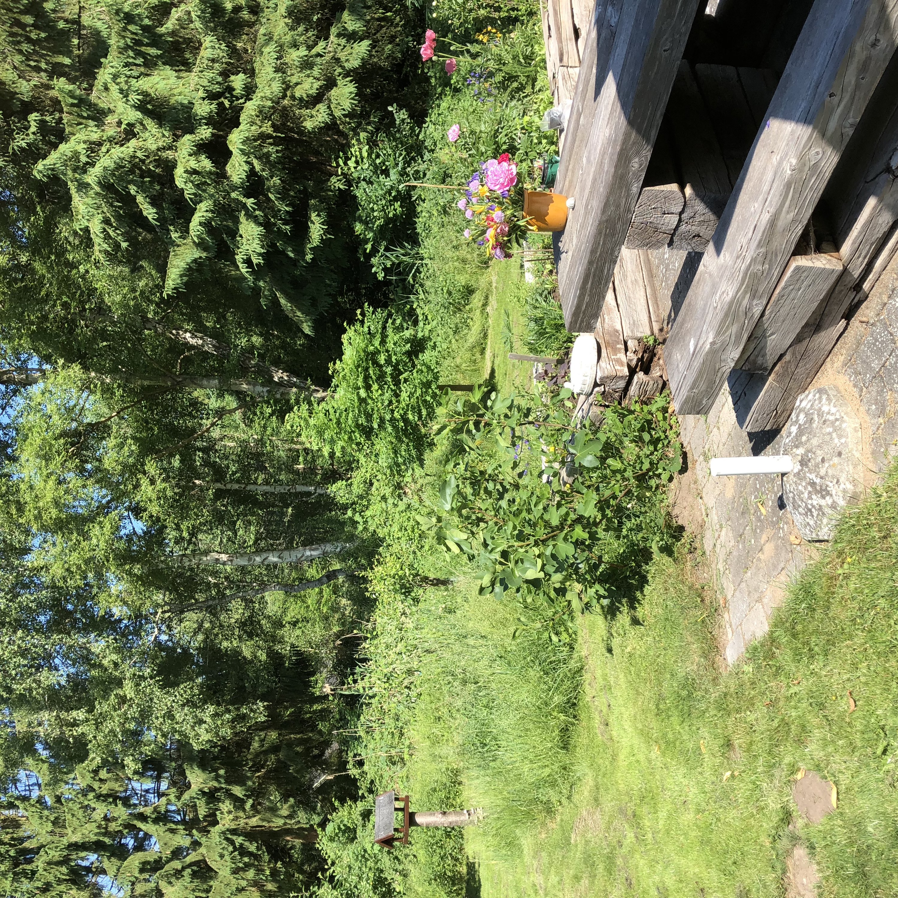 Fremhævet udendørs billede i fuldskærmstilstand. Billede af Ryagervej 41, Sandet, 3300 Frederiksværk