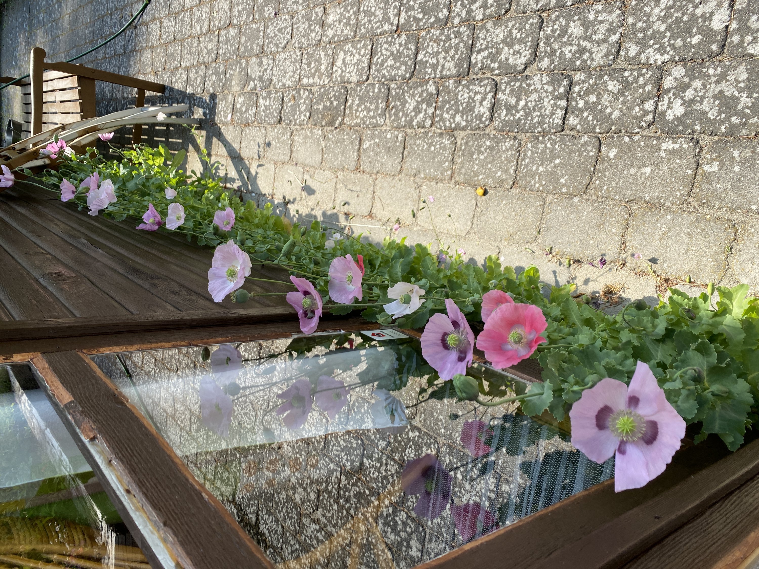 Fremhævet udendørs billede i fuldskærmstilstand. Billede af Ryagervej 41, Sandet, 3300 Frederiksværk