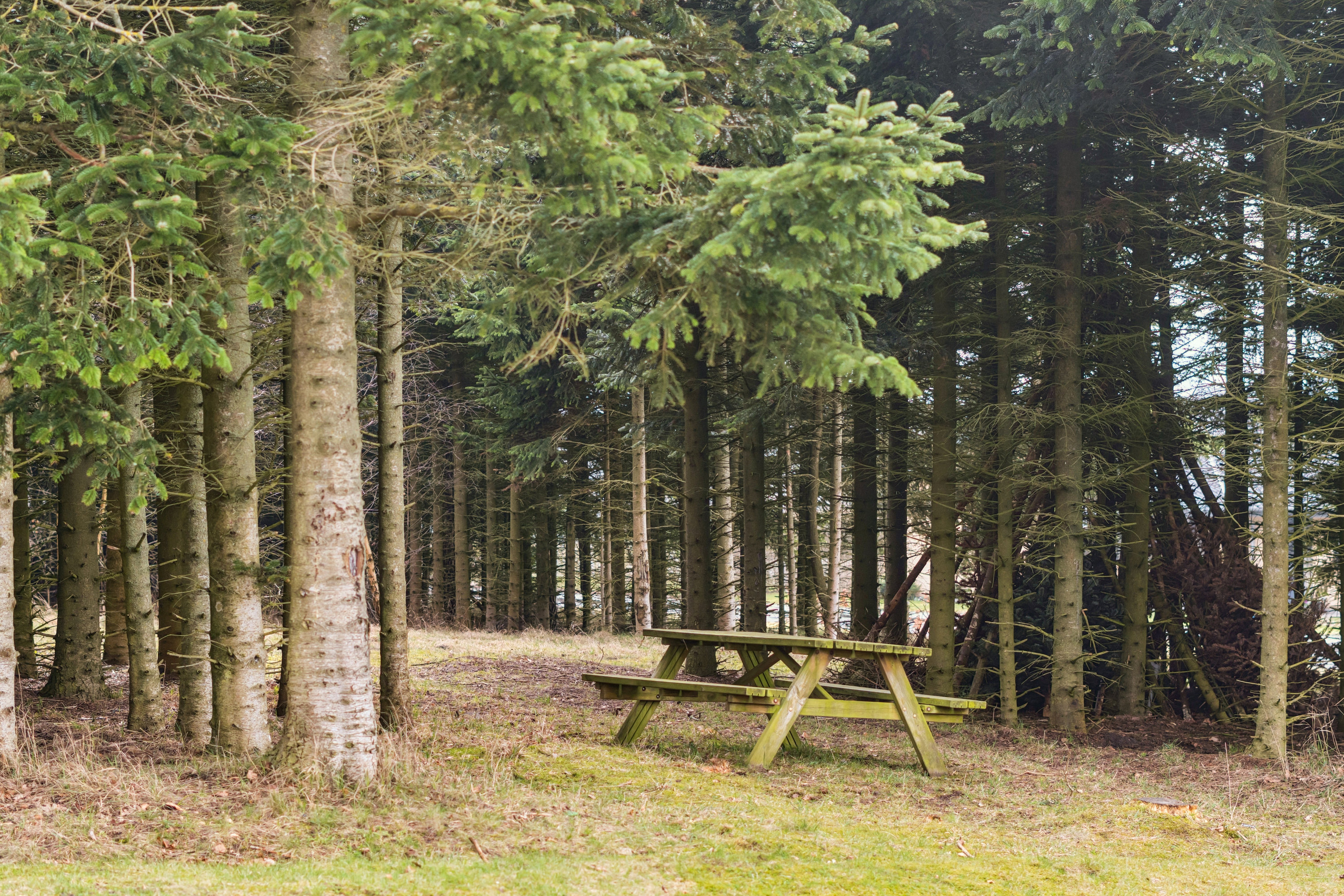 Fremhævet have billede i fuldskærmstilstand. Billede af Møgelvang 1, 8800 Viborg