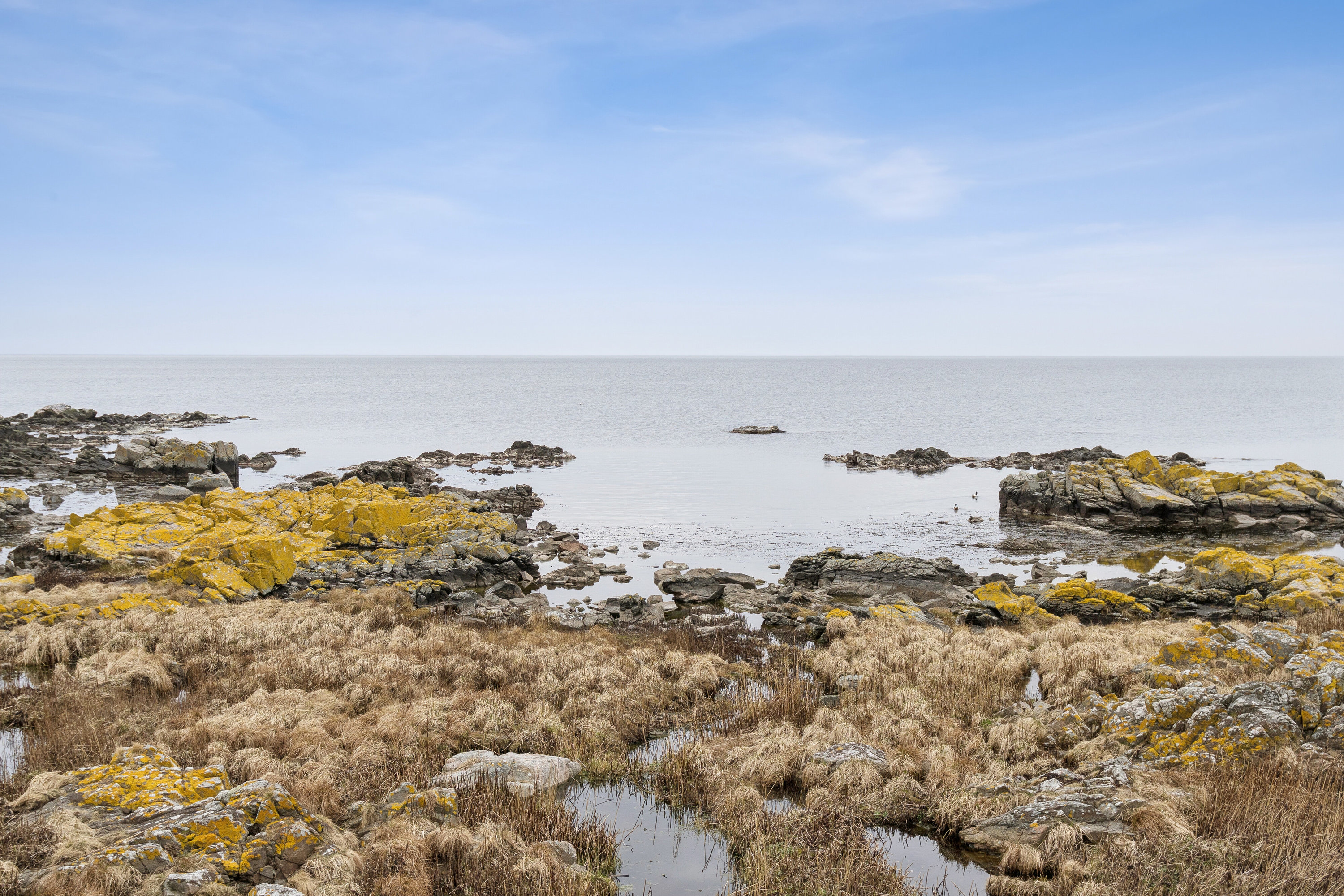 Fremhævet set fra haven billede i fuldskærmstilstand. Billede af Bølshavn 29C, Bølshavn, 3740 Svaneke