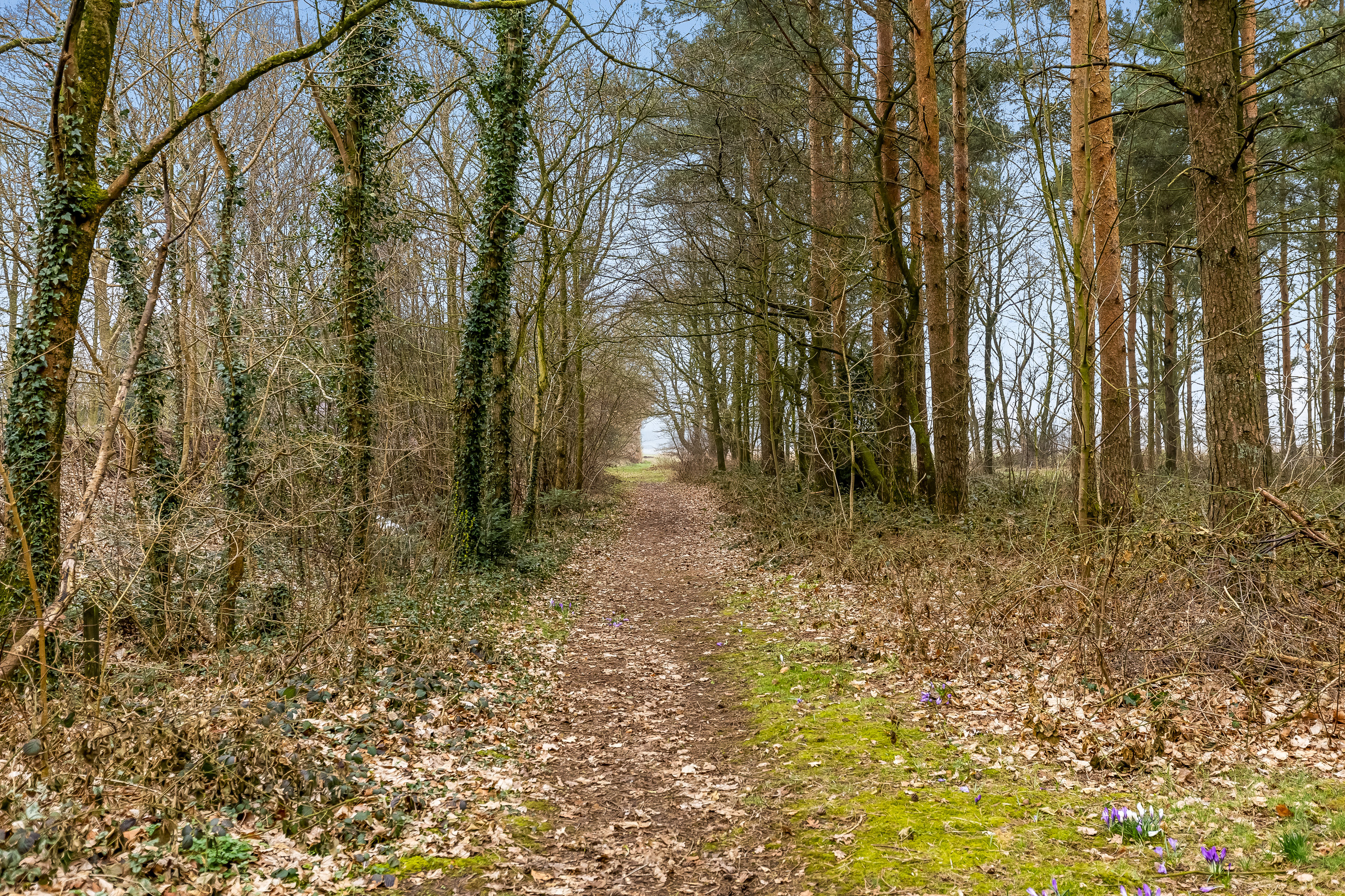Fremhævet andet billede i fuldskærmstilstand. Billede af Burkal Kirkevej 22, 6372 Bylderup-Bov
