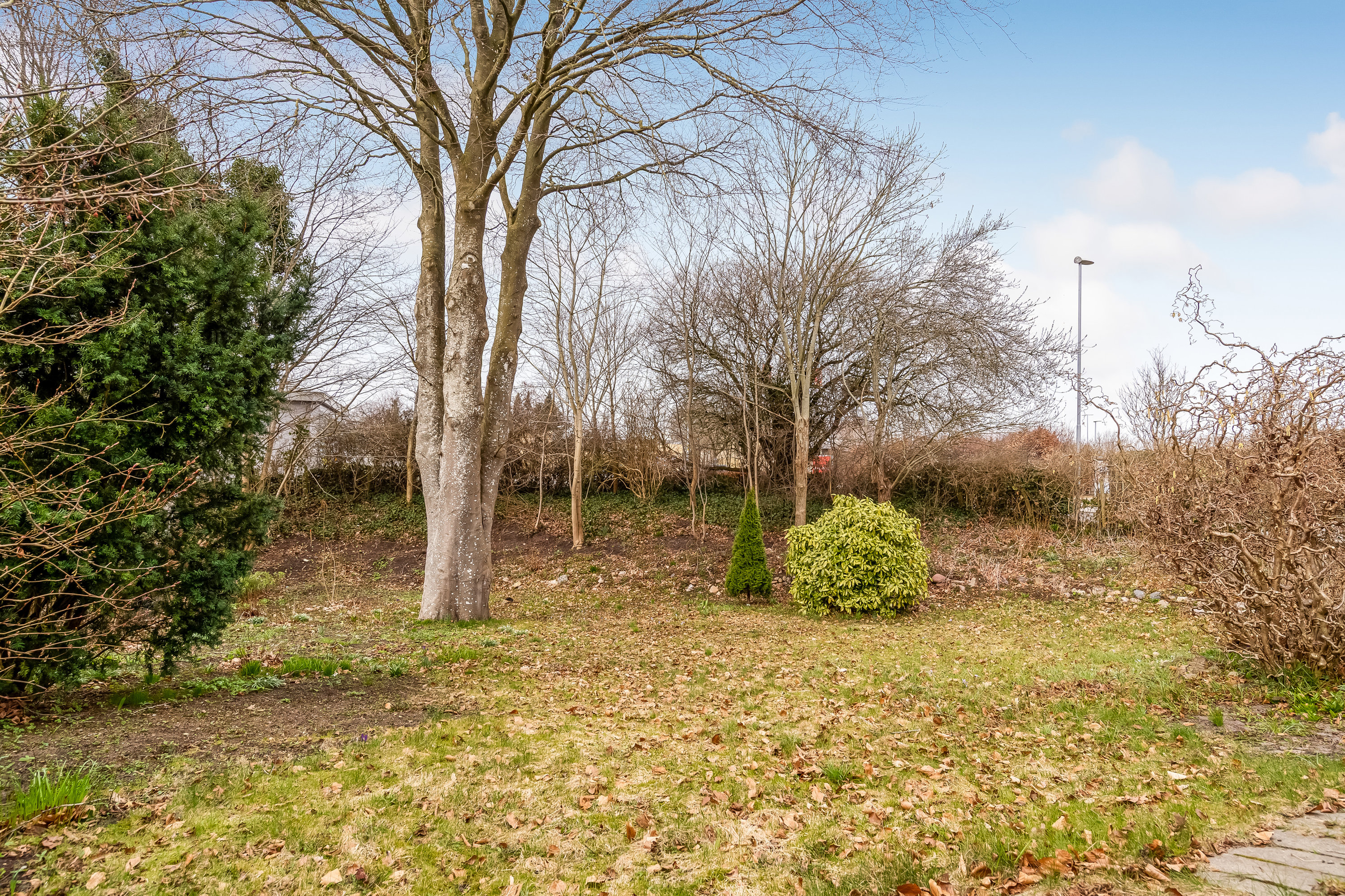 Fremhævet have billede i fuldskærmstilstand. Billede af Alsvej 7, 7500 Holstebro