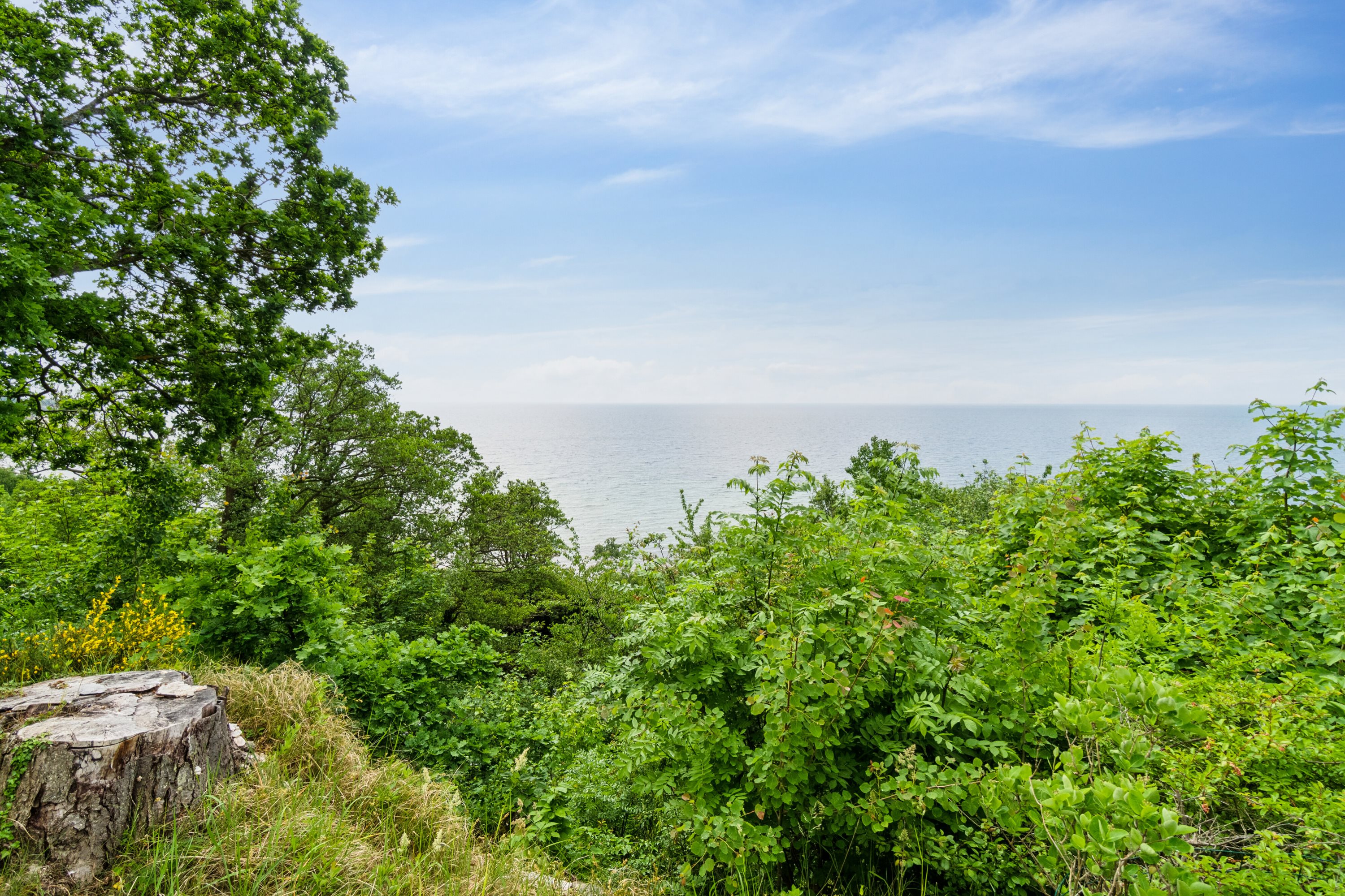 Fremhævet udendørs billede i fuldskærmstilstand. Billede af Lersøvej 13, 3700 Rønne