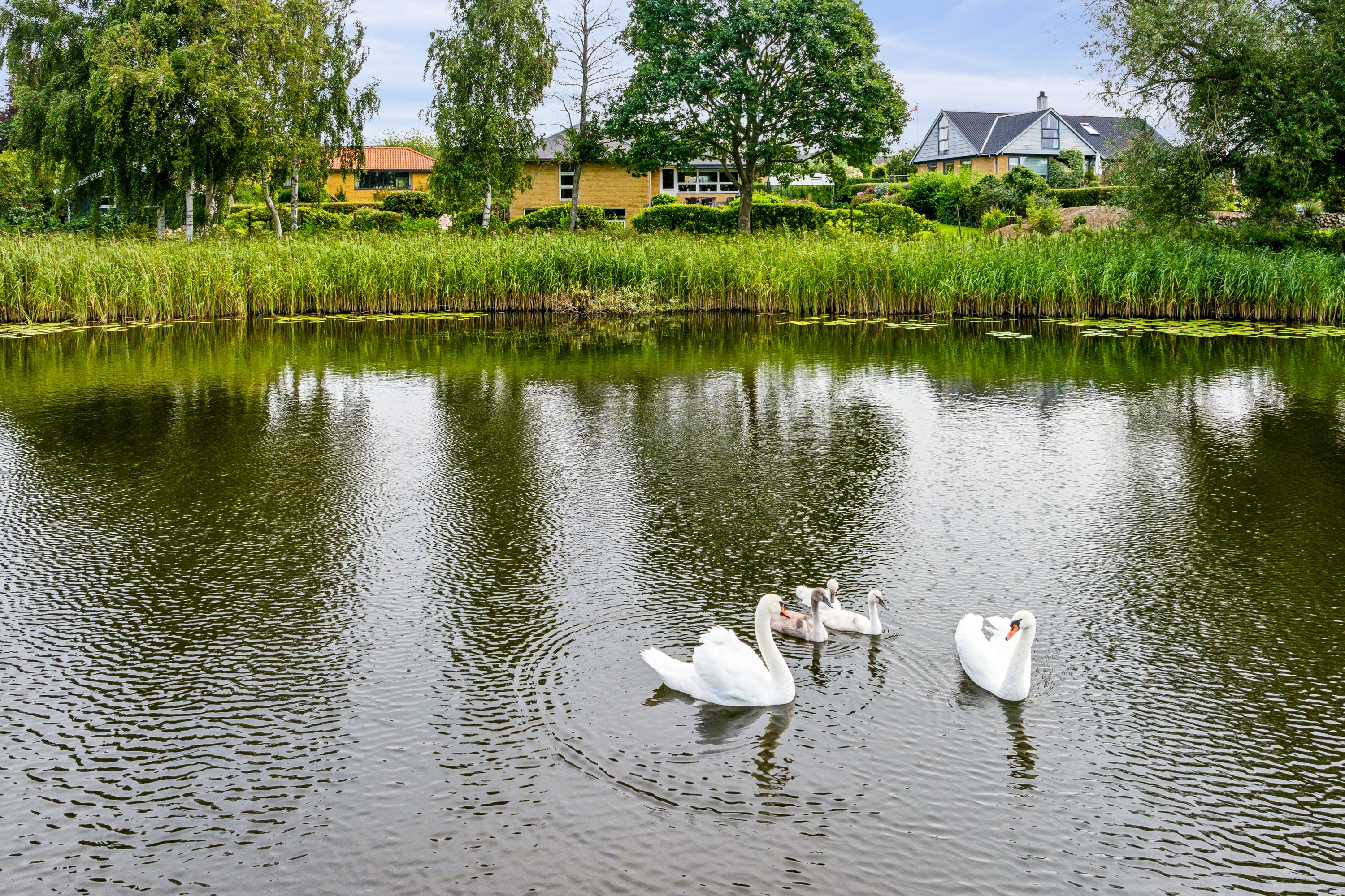 Fremhævet omgivelser billede i fuldskærmstilstand. Billede af Rørdrumvej 13, 5600 Faaborg