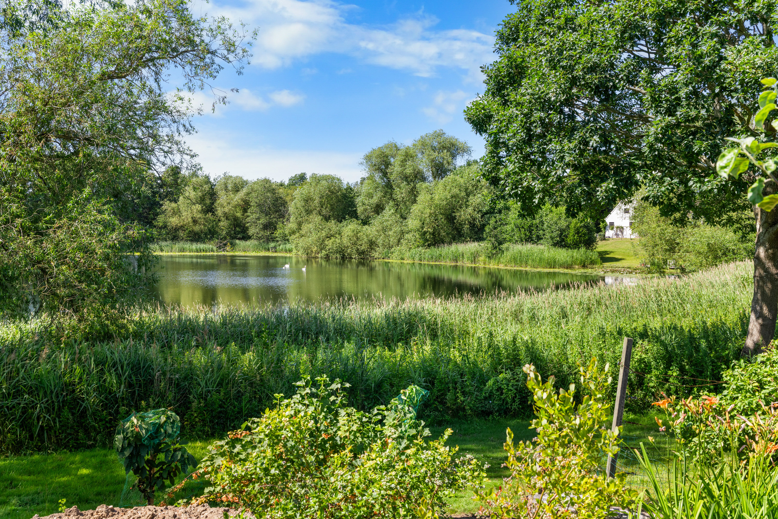 Fremhævet andet billede i fuldskærmstilstand. Billede af Rørdrumvej 13, 5600 Faaborg