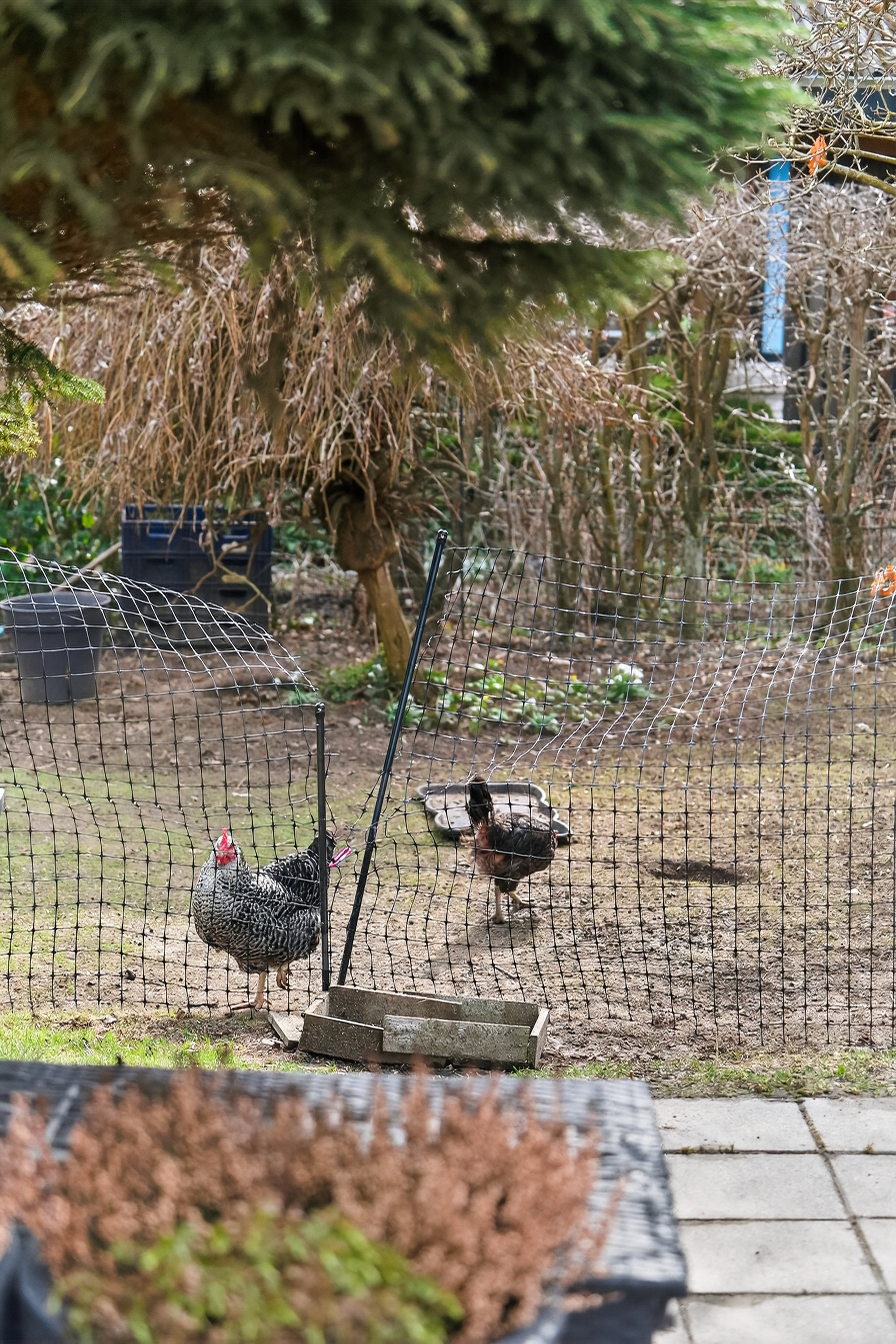 Fremhævet set fra haven billede i fuldskærmstilstand. Billede af Hold-An Vej 140, 2750 Ballerup