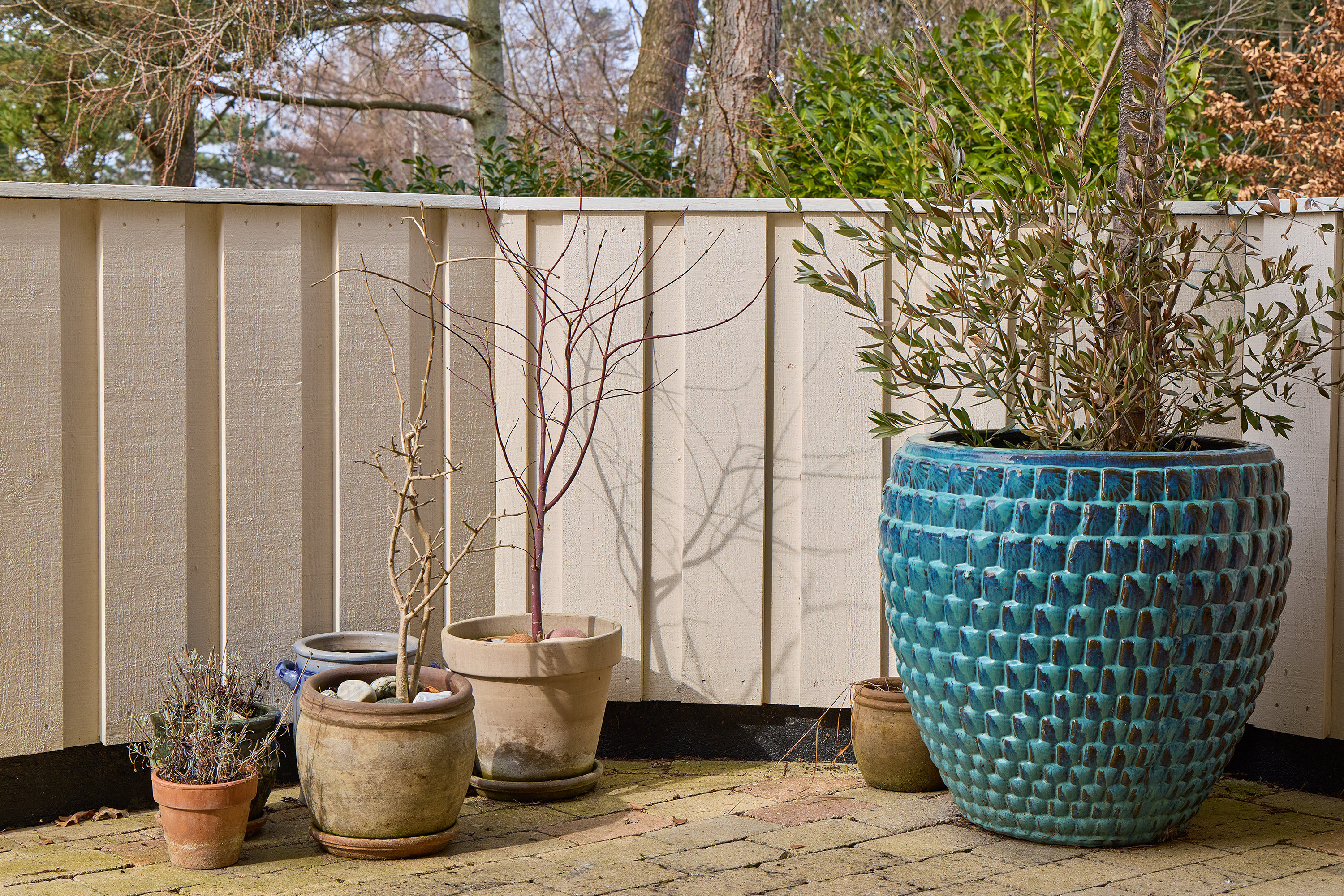Fremhævet terrasse billede i fuldskærmstilstand. Billede af Steenleng-Åsen 2, Rågeleje, 3210 Vejby
